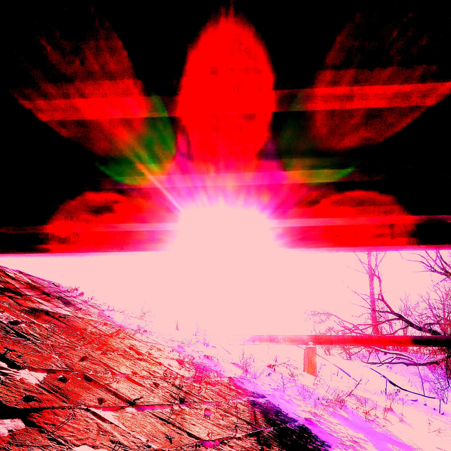 Релиз Директор