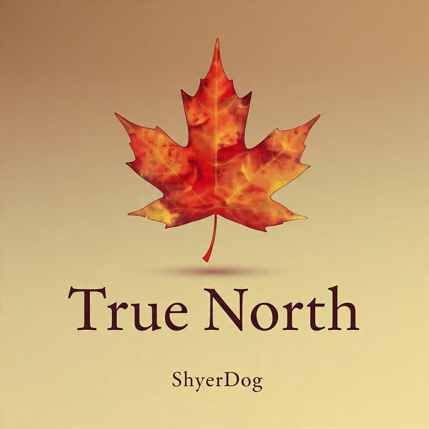 Релиз True North