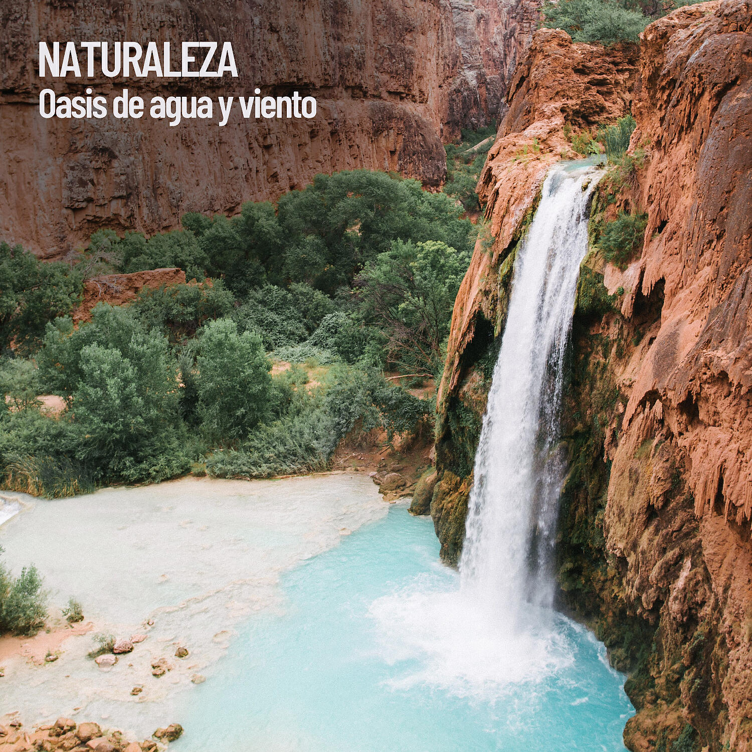 Релиз Naturaleza: Oasis de agua y viento