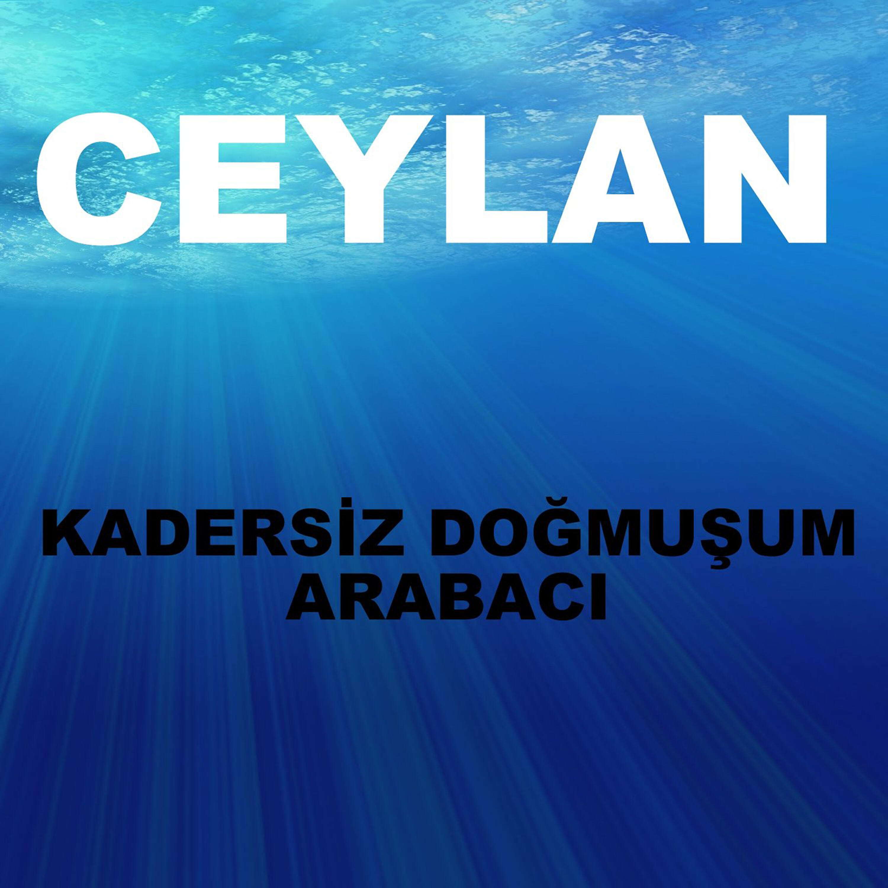 Релиз Kadersiz Doğmuşum / Arabacı