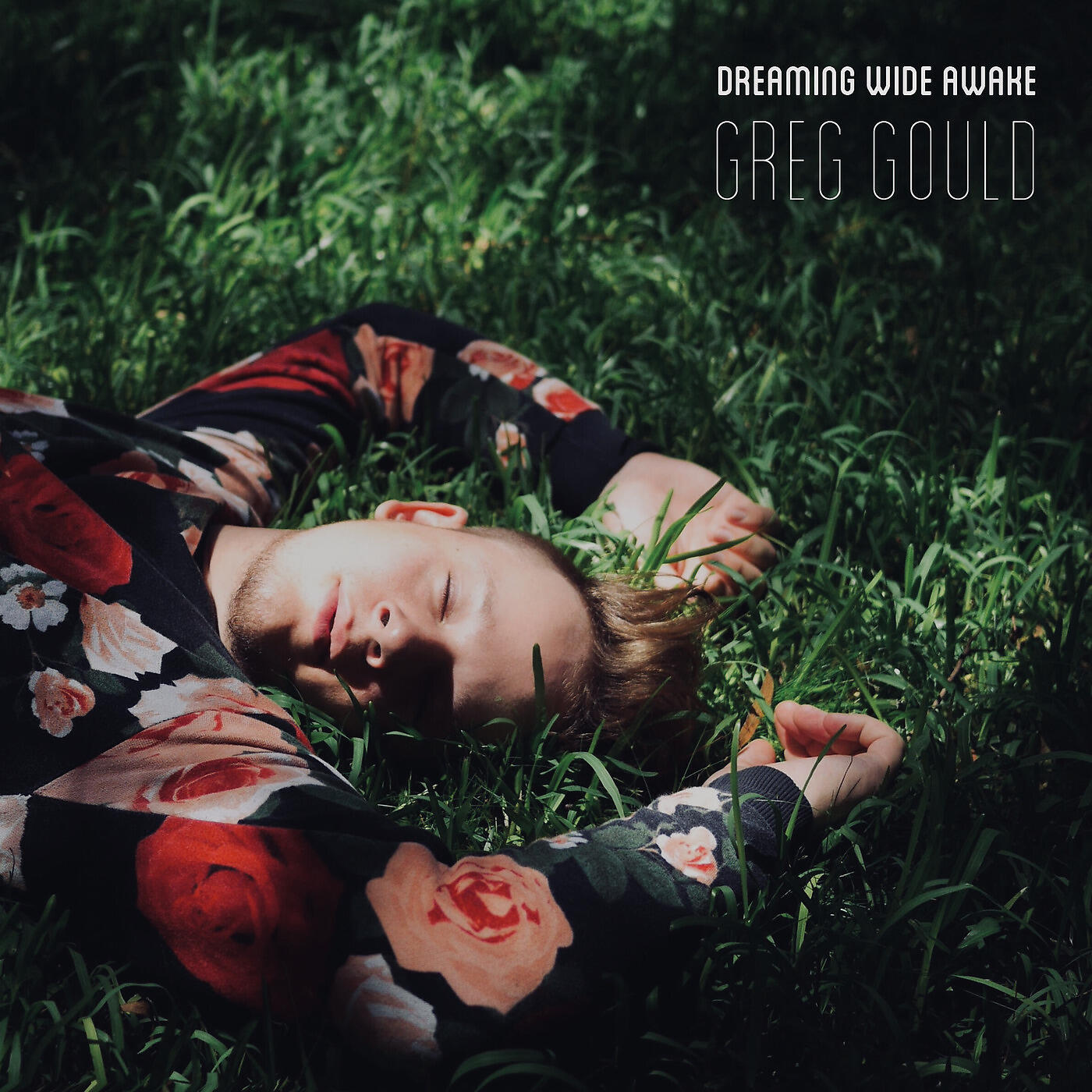 Релиз Dreaming Wide Awake