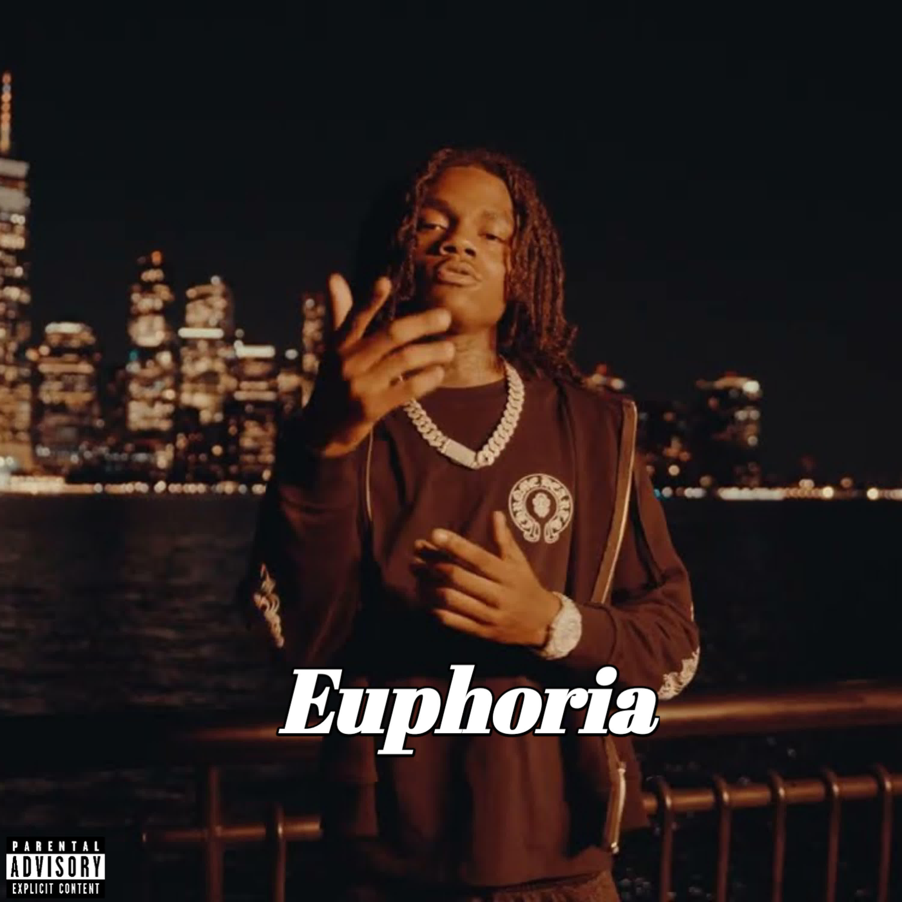 Релиз Euphoria