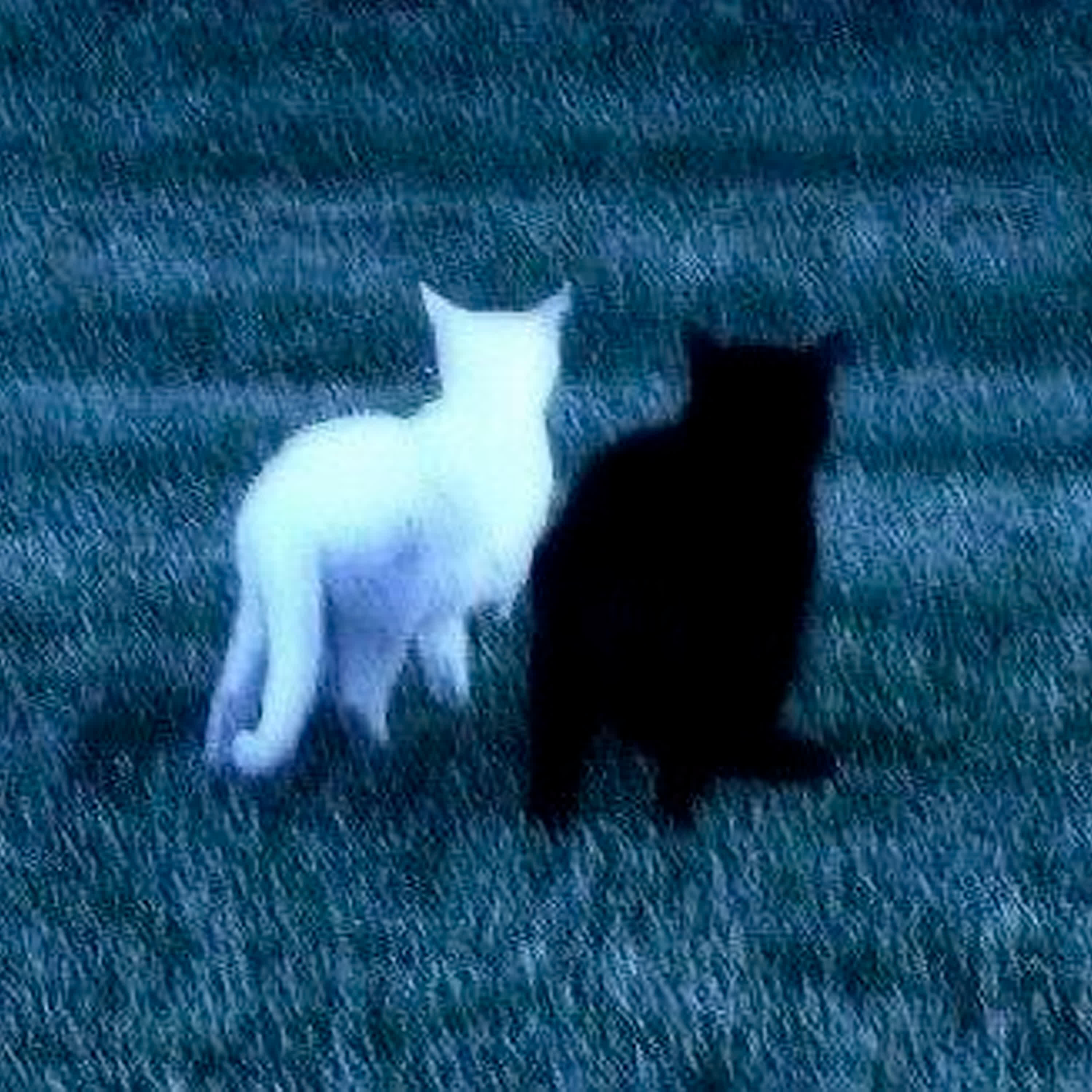 Релиз Возьму С Собой