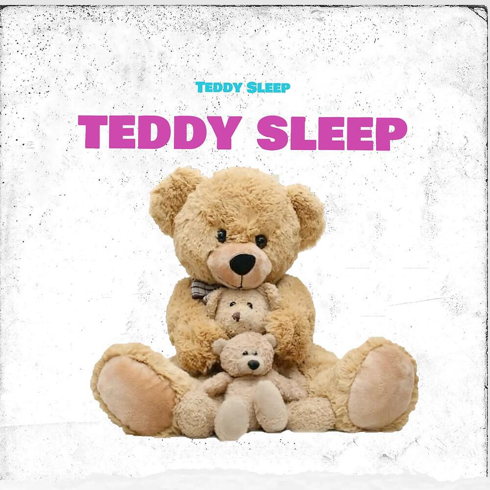 Teddy Sleep