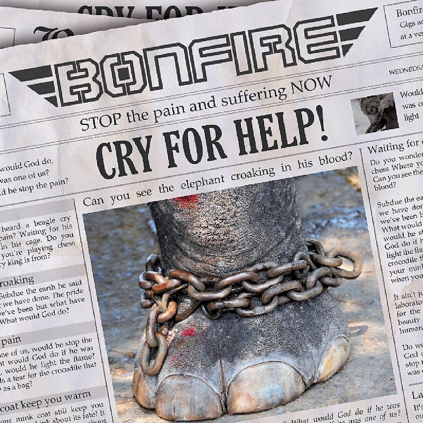 Релиз Cry for Help