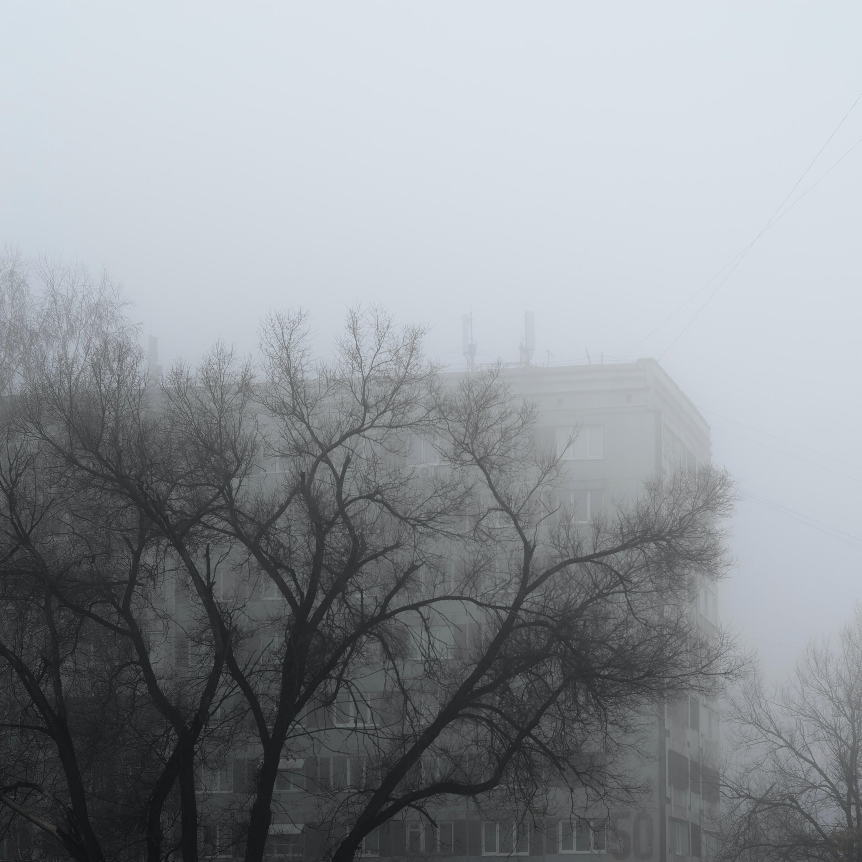 Релиз Страдать