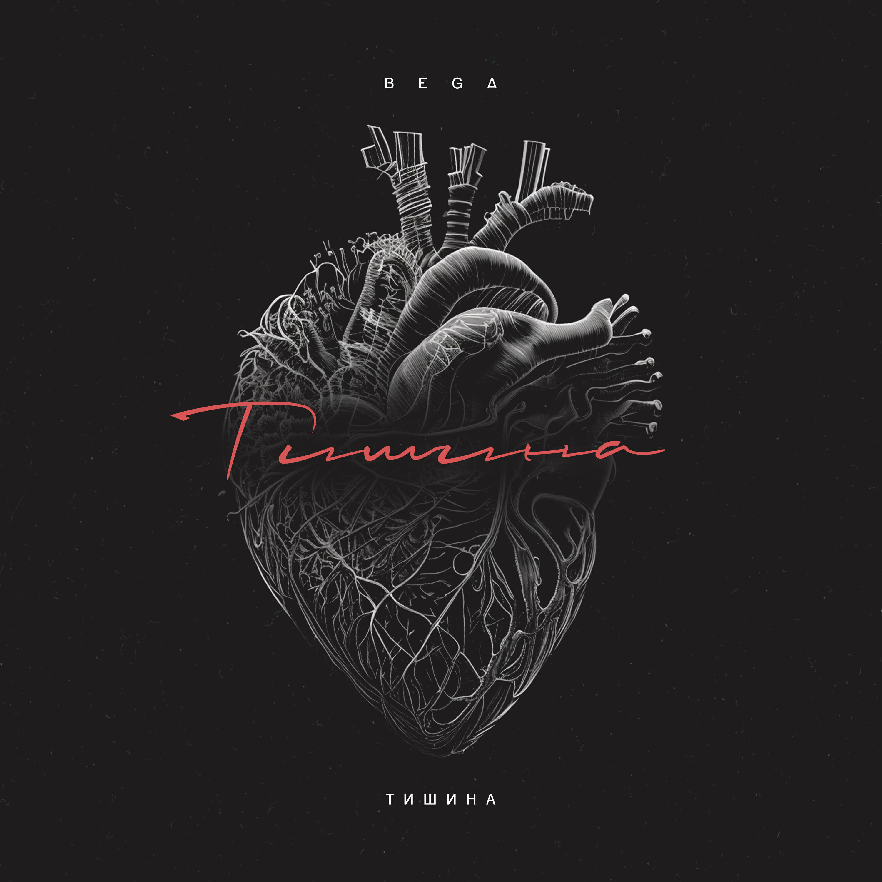 Релиз Тишина