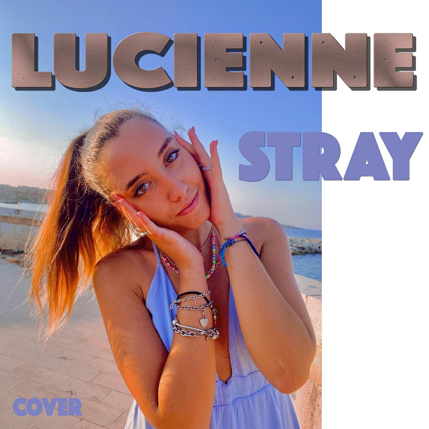 Релиз Stray