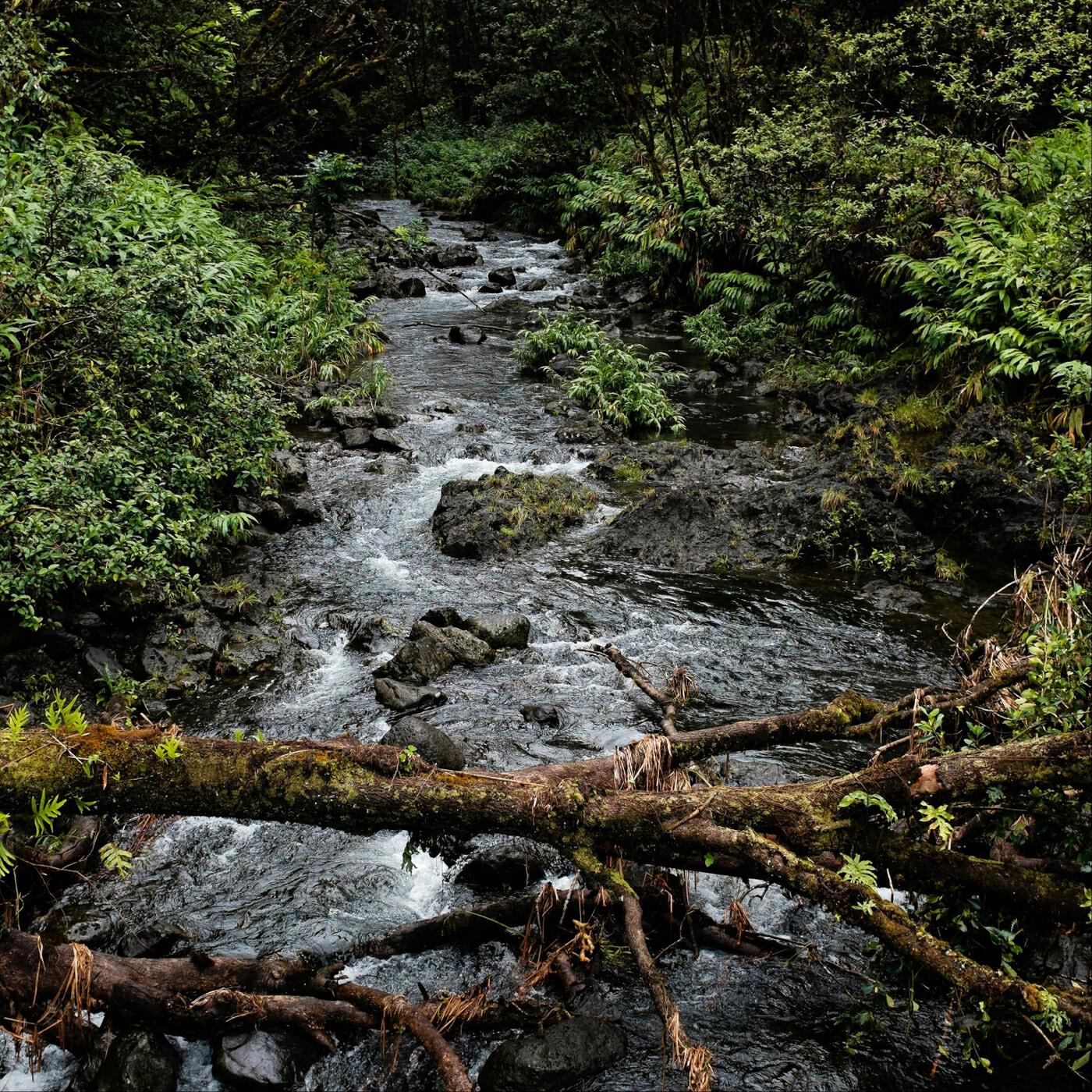 Релиз Springtime Stream - Balancing Melody for the Seven Chakras