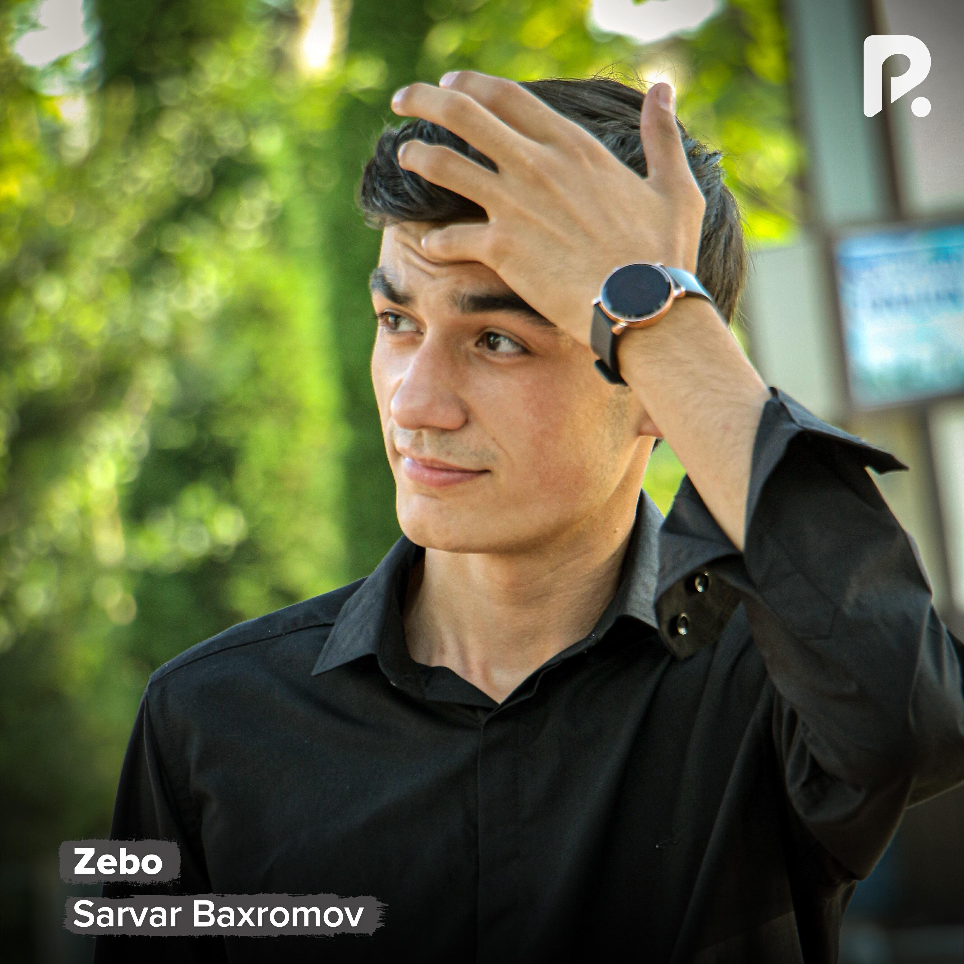 Релиз Zebo
