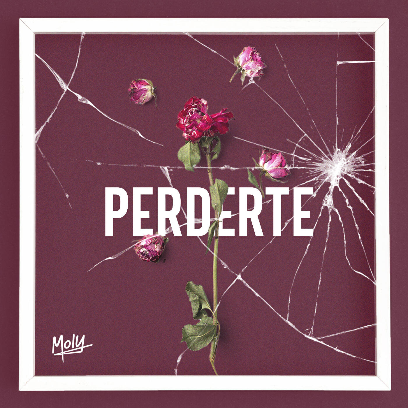 Релиз Perderte