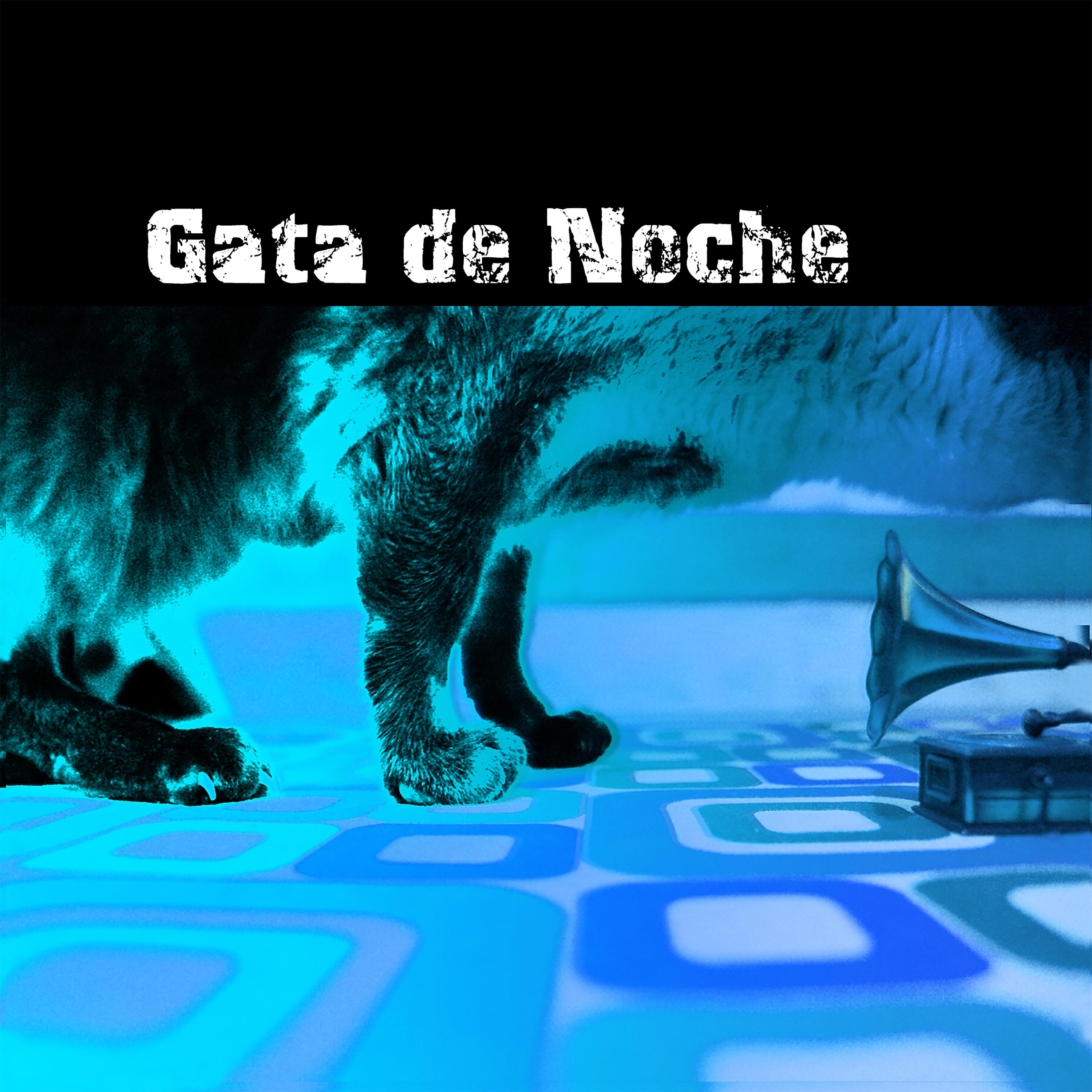 Релиз Gata de Noche