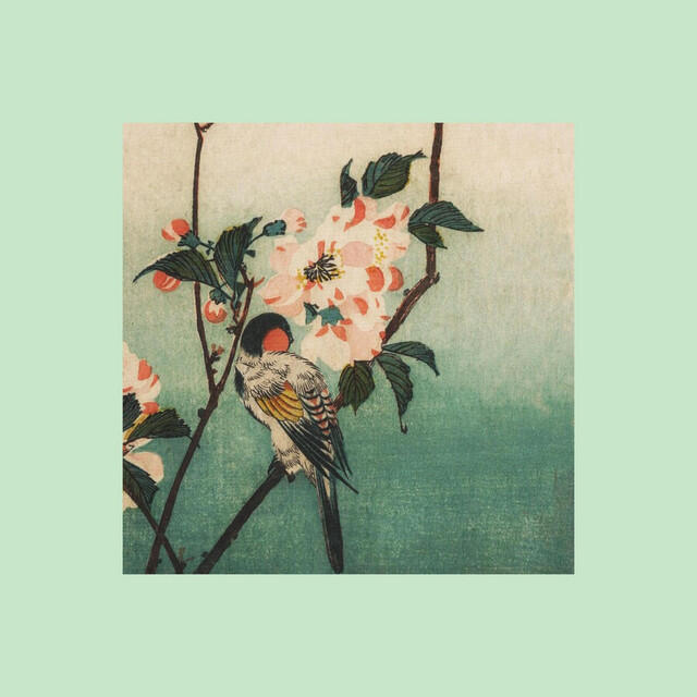 Релиз Hermit