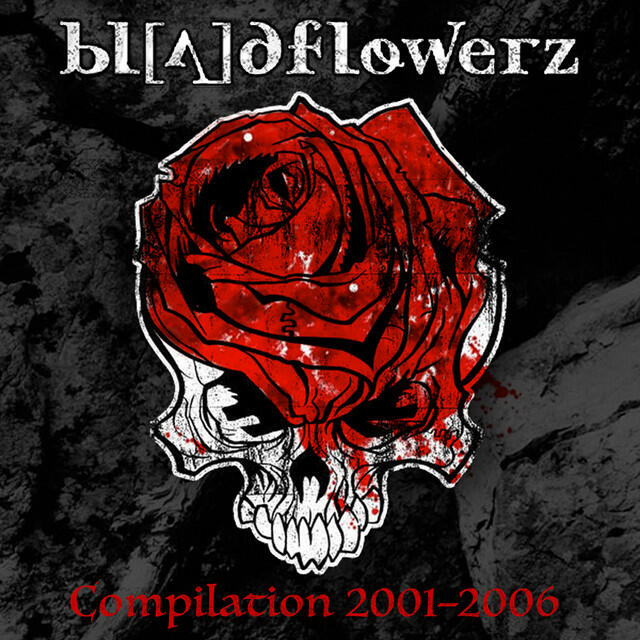 Релиз Compilation 2001-2006
