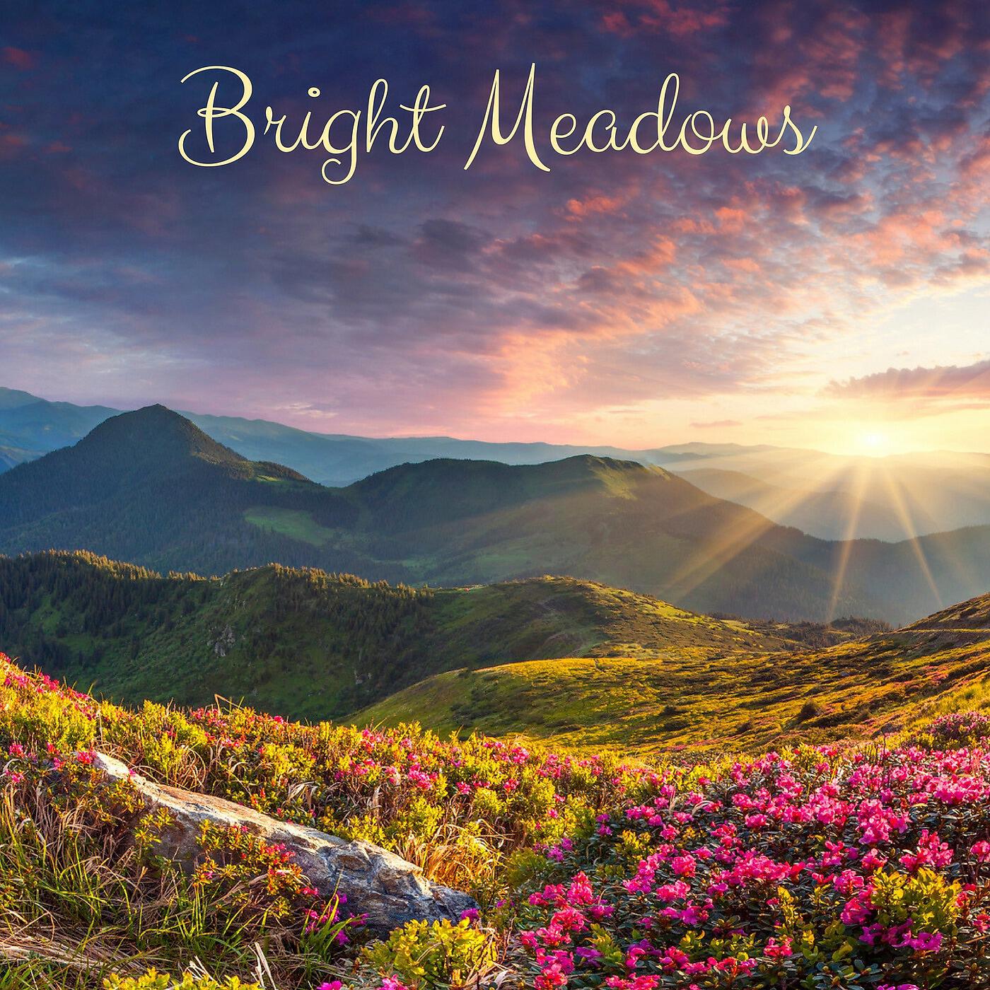 Релиз Bright Measows