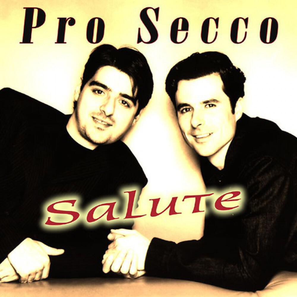 Релиз Salute