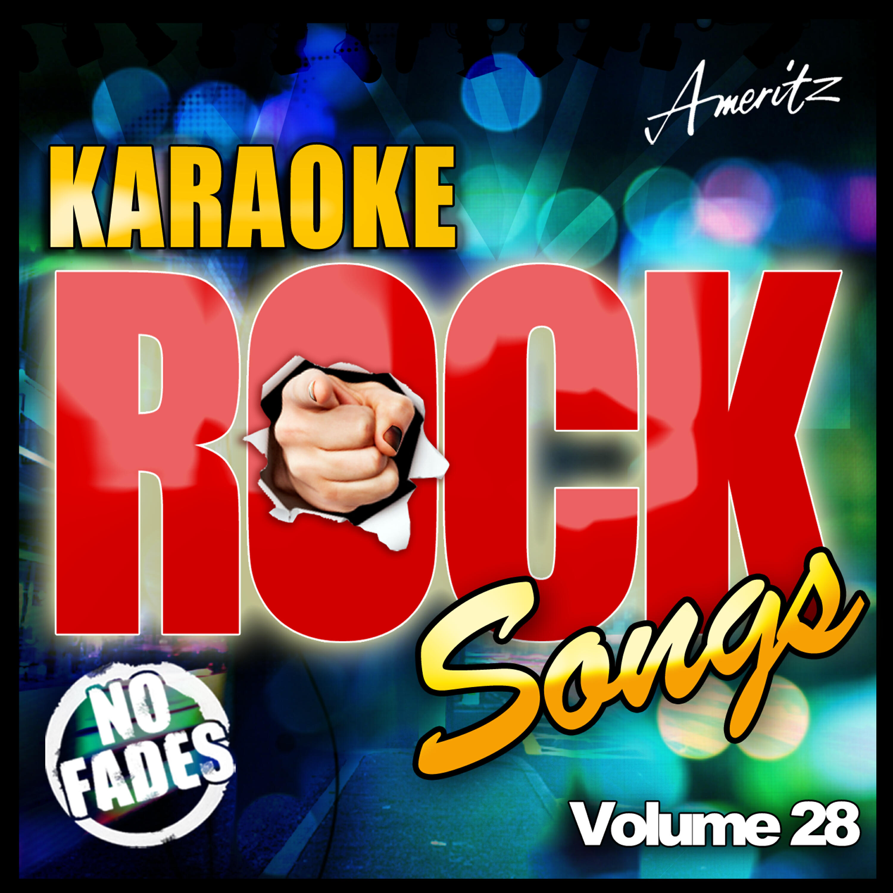 Постер альбома Karaoke - Rock Songs Vol 28