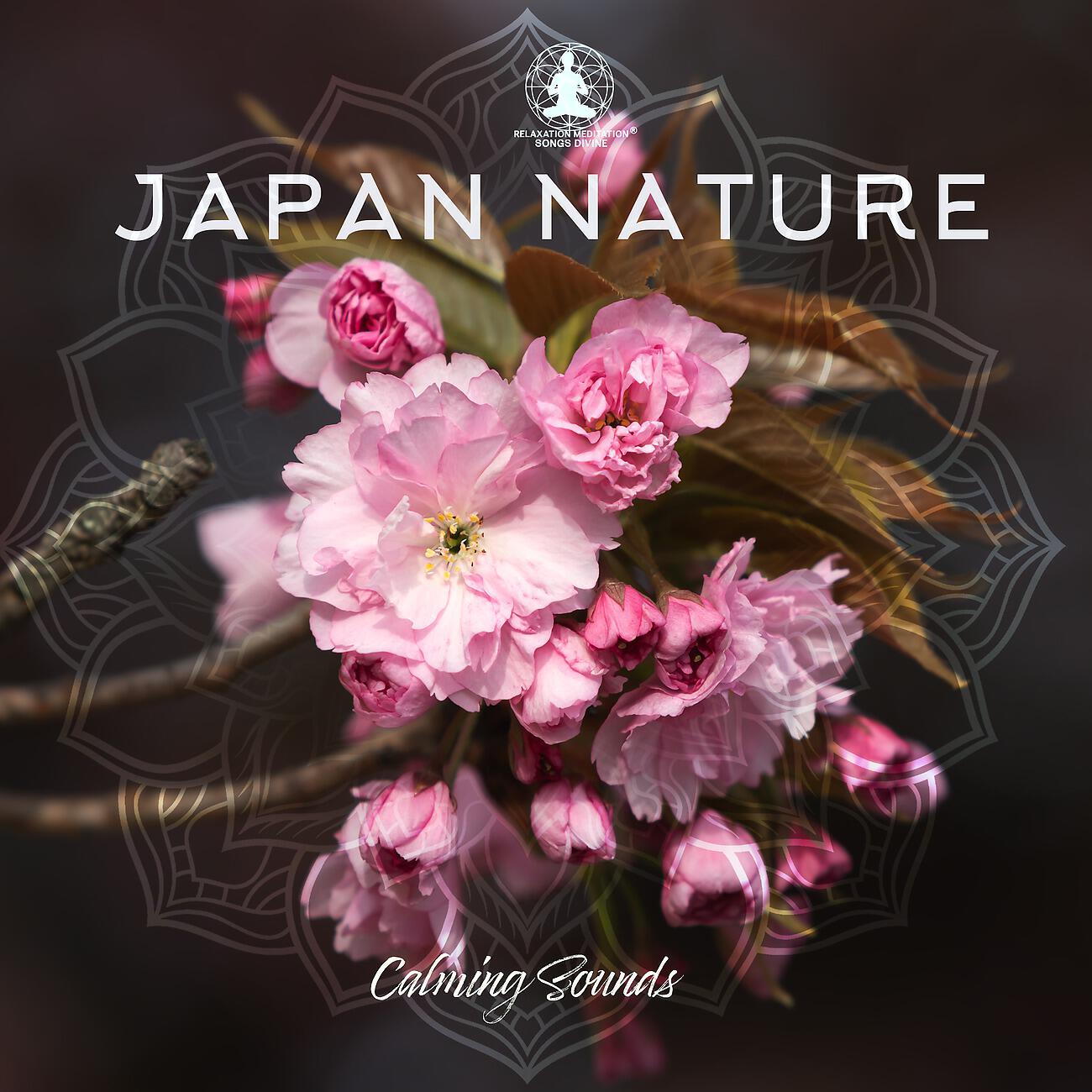 Релиз Japan Nature Calming Sounds. The Best Music for Relaxation and Meditation