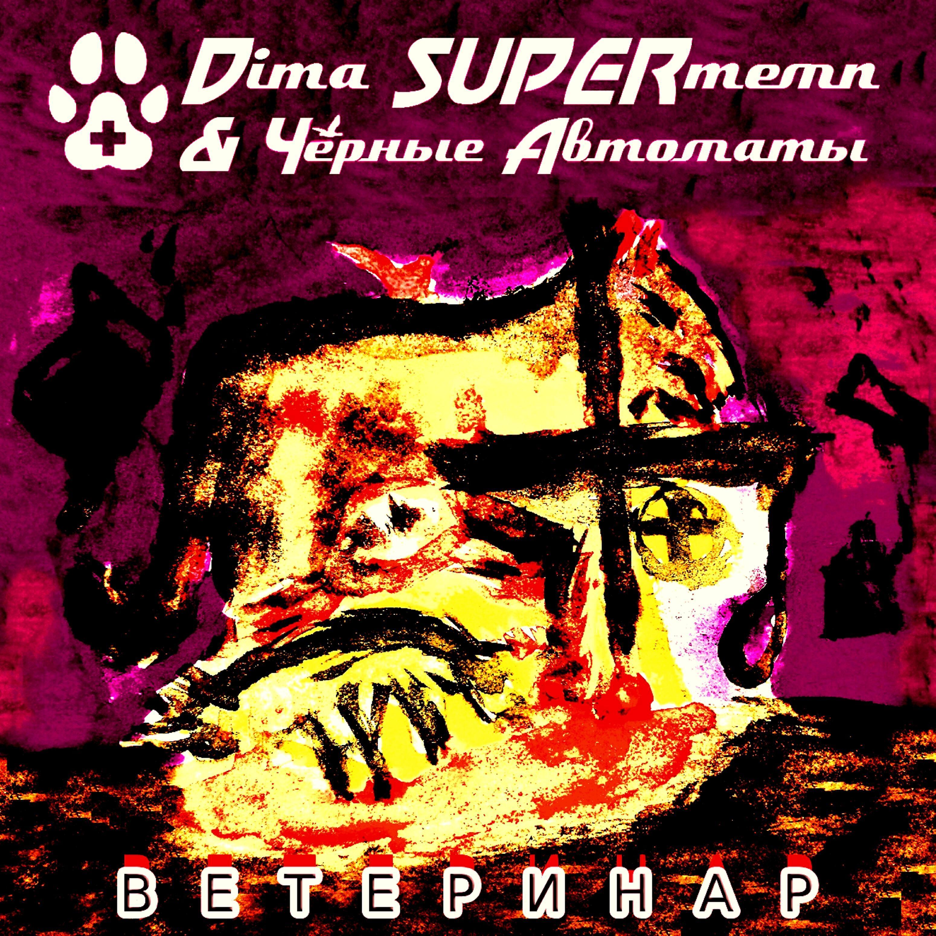 Dima SUPERтемп