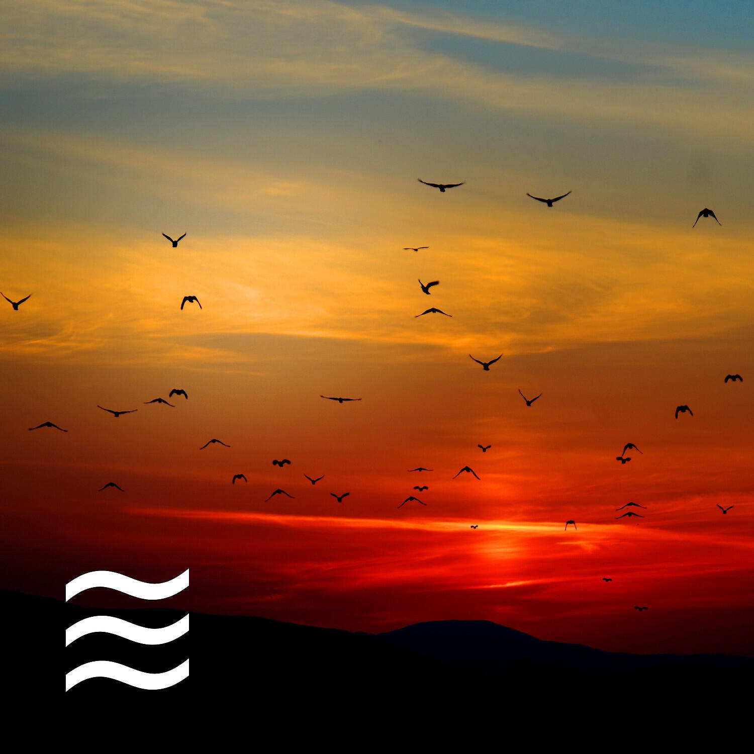 Calming Sleep Noises