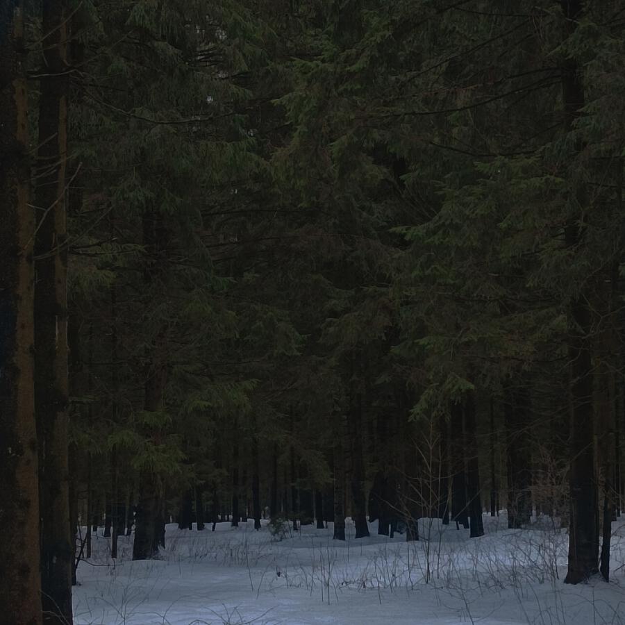 Волна по релизу