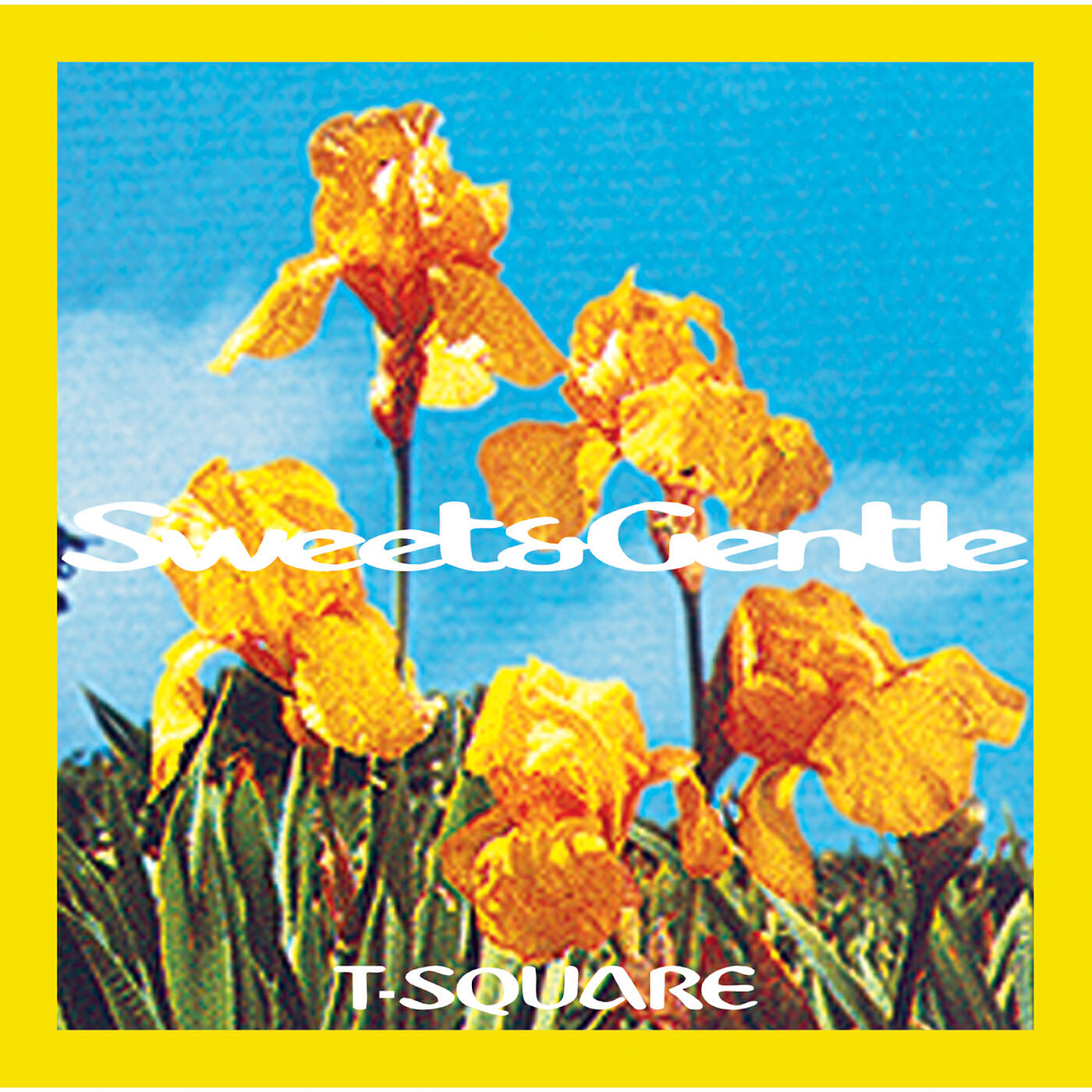 Постер альбома Sweet and Gentle