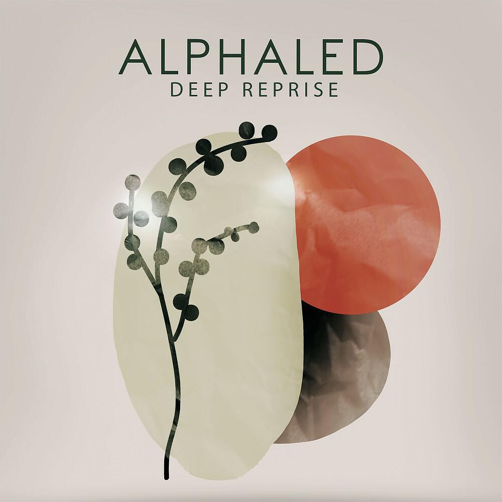 Релиз Deep Reprise