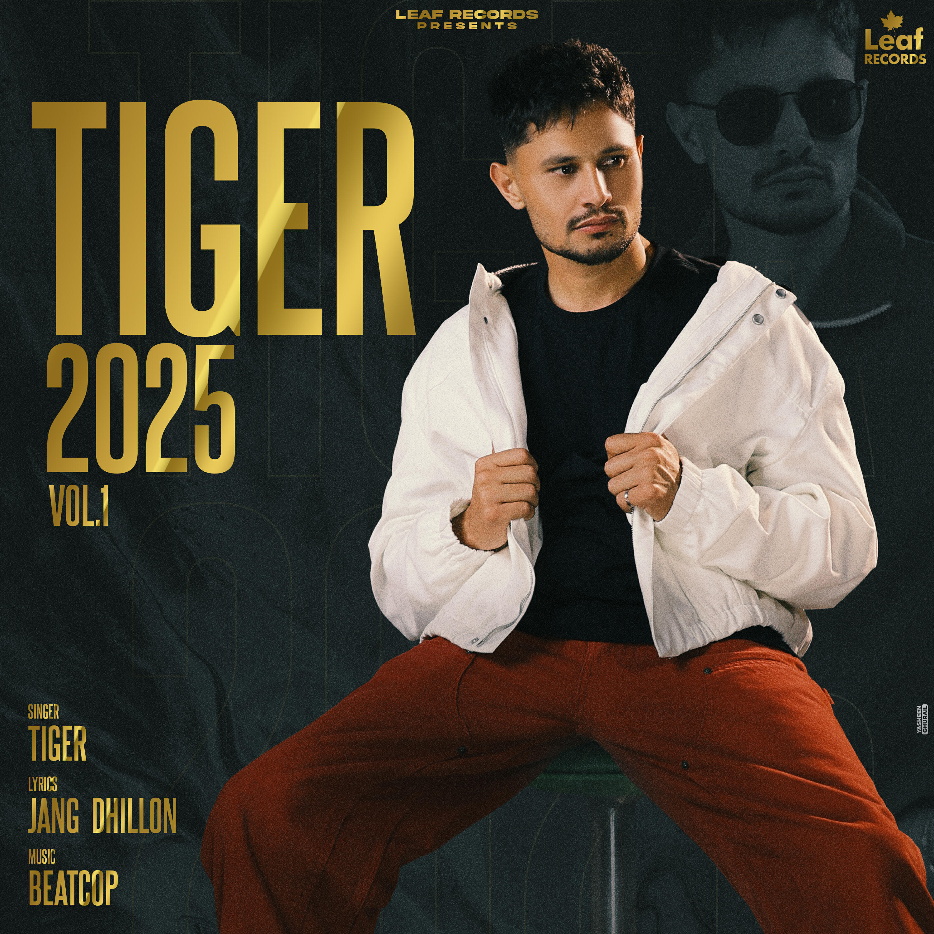 Релиз Tiger 2025, Vol. 1