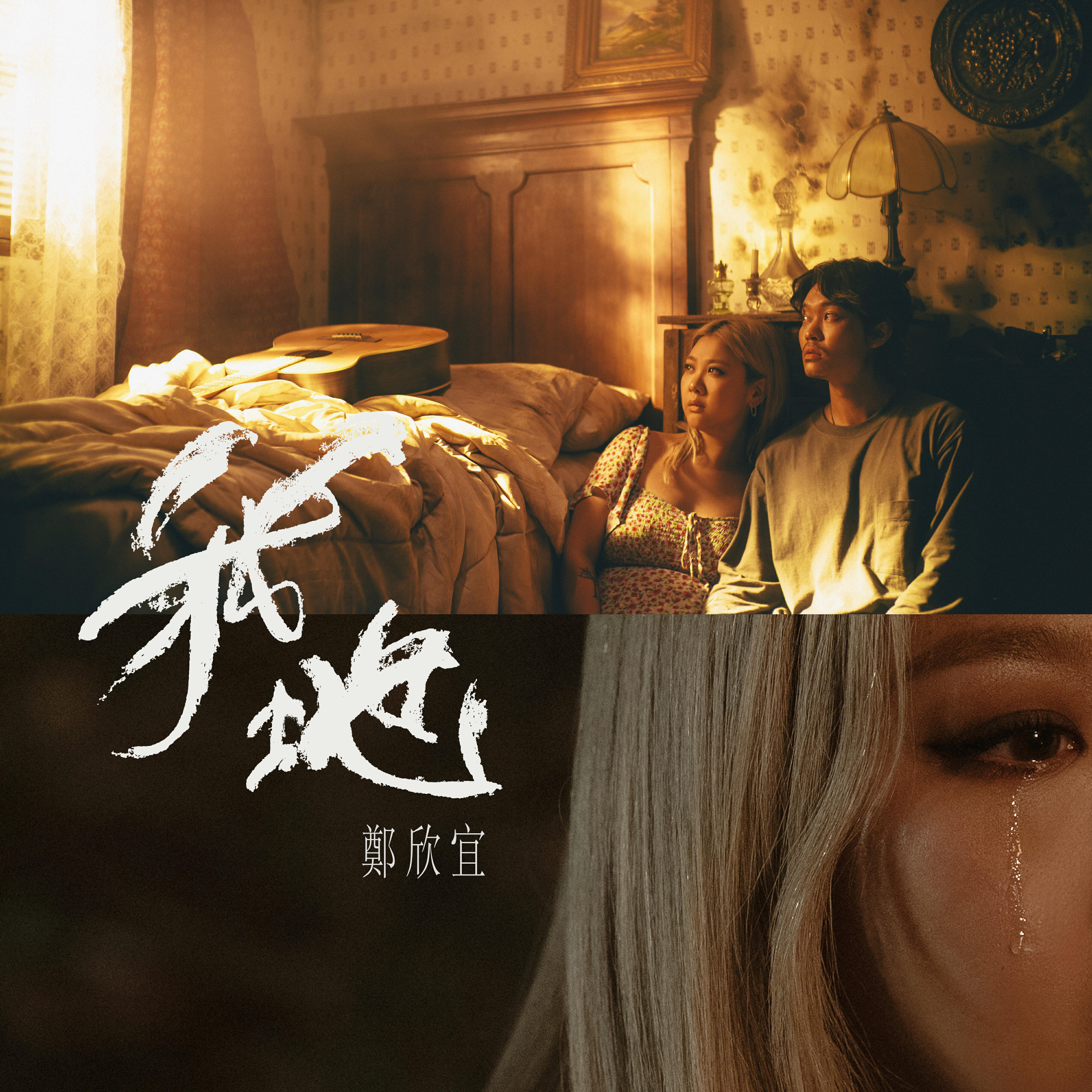 Релиз ngo5 dei6