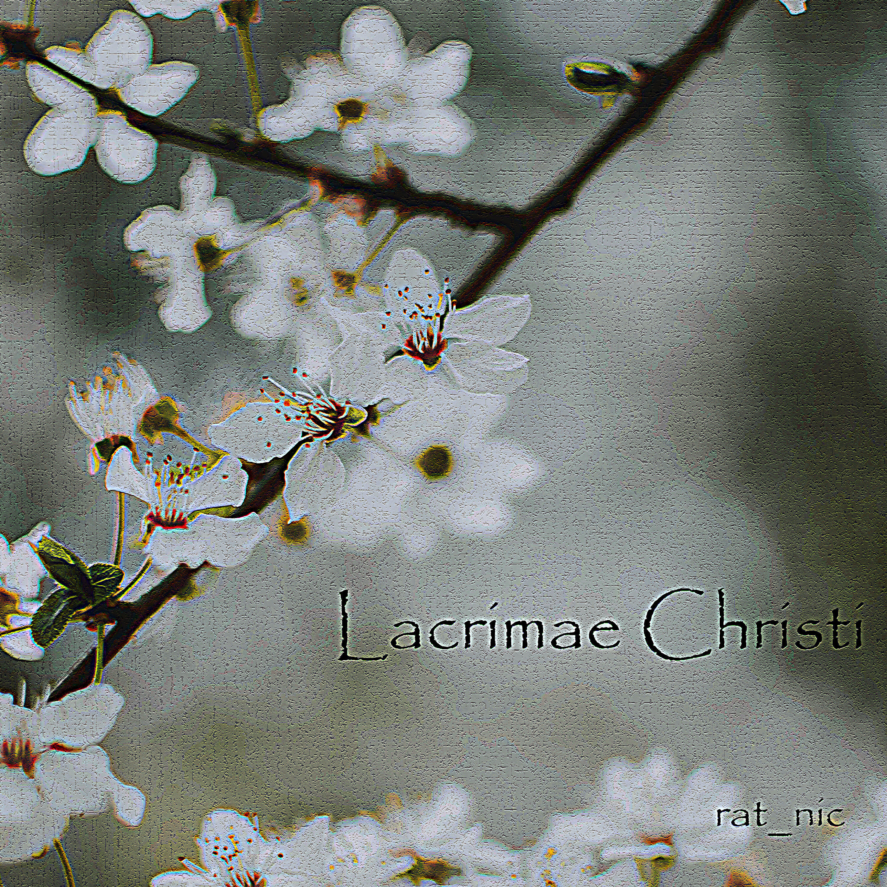 Релиз Lacrimae Christi