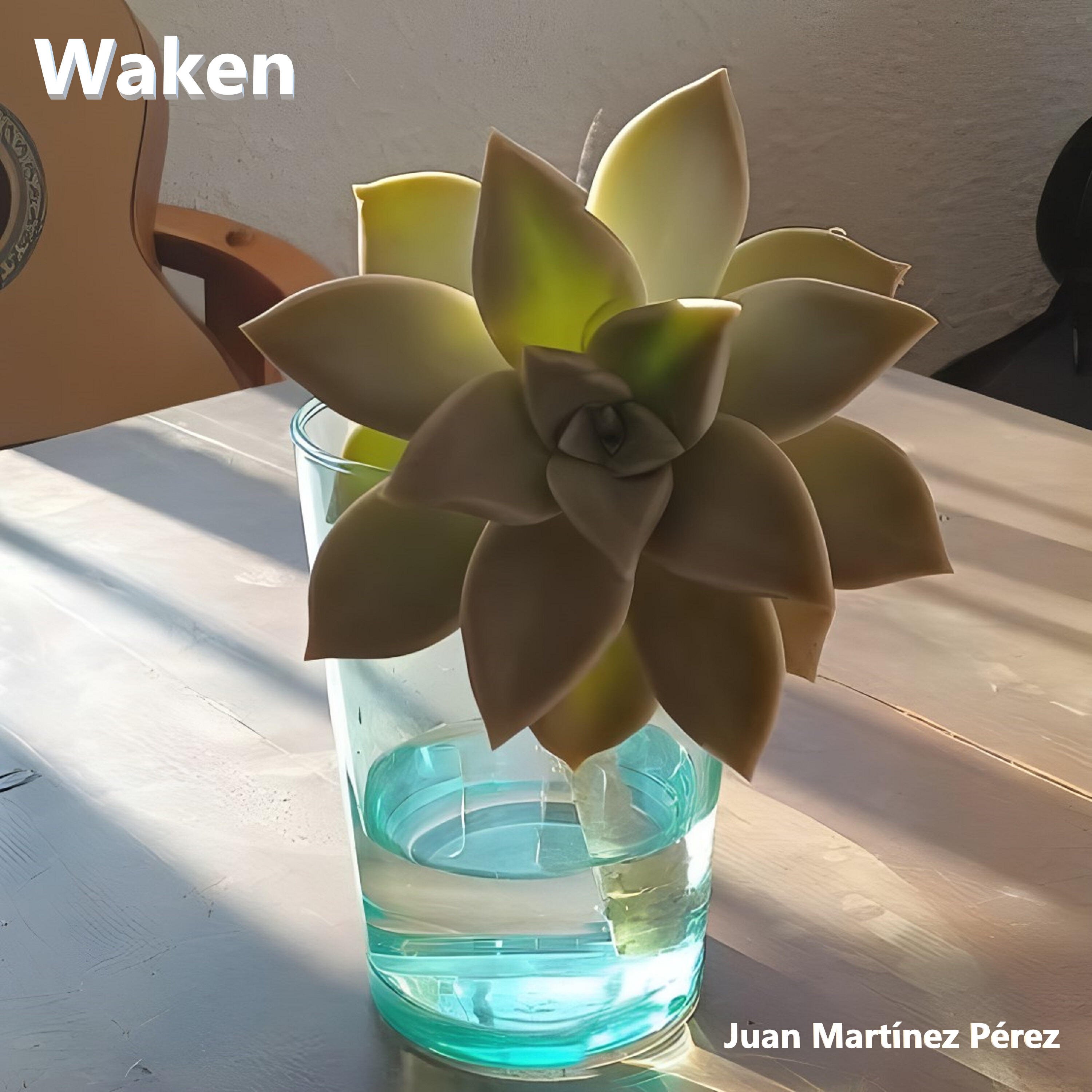 Релиз Waken