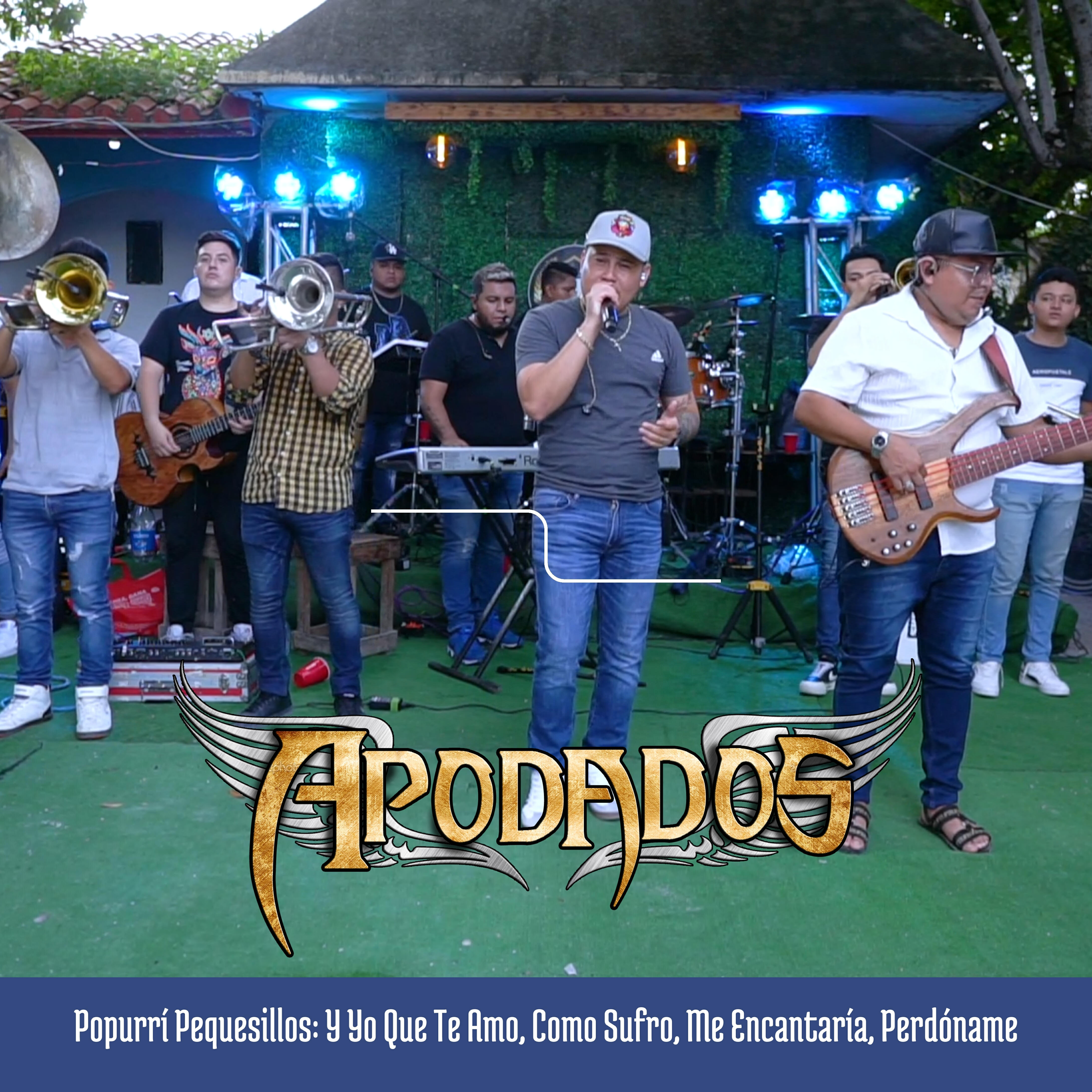 Релиз Popurrí Pequesillos: Y Yo Que Te Amo, Como Sufro, Me Encantaría, Perdóname