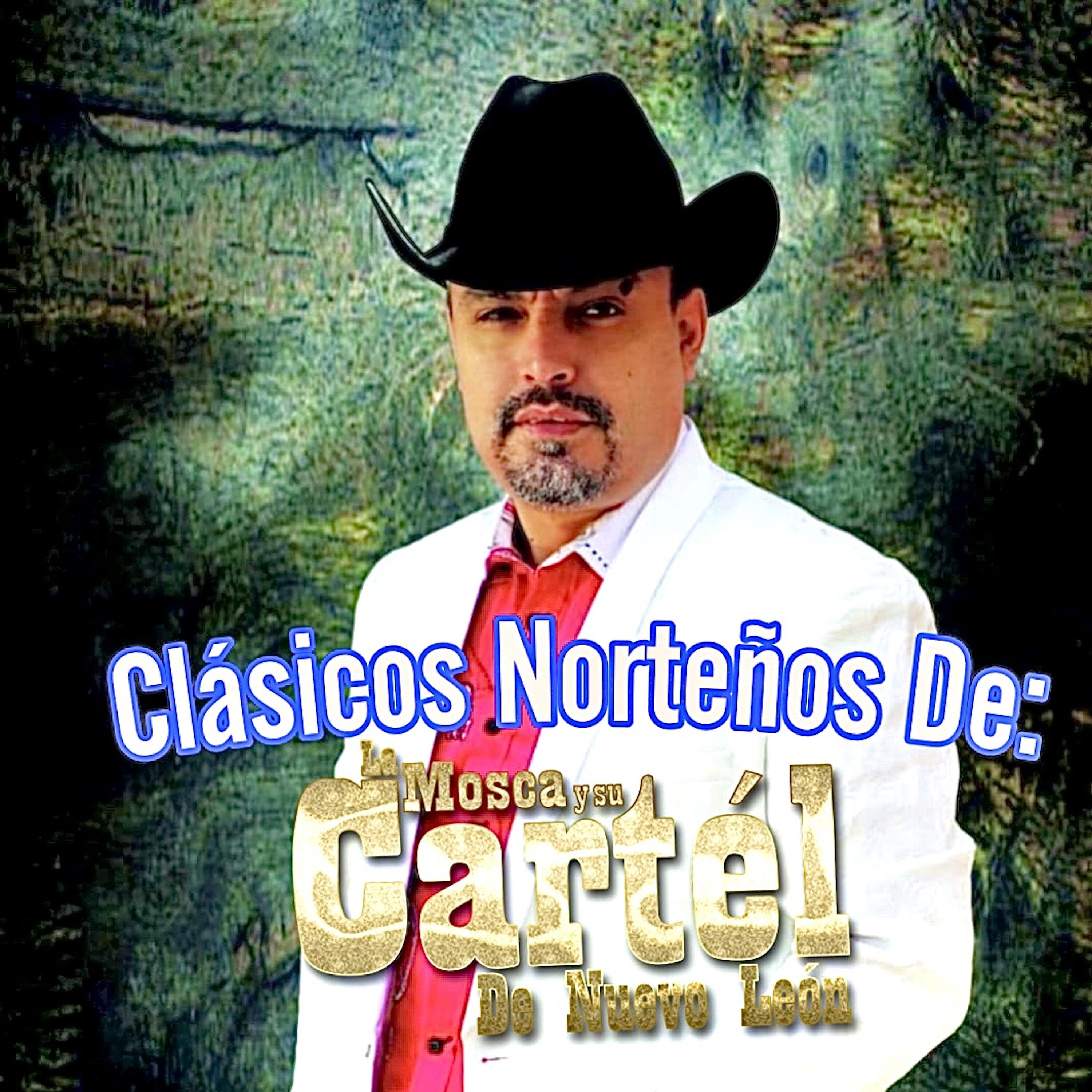 Релиз Clásicos Norteños De: