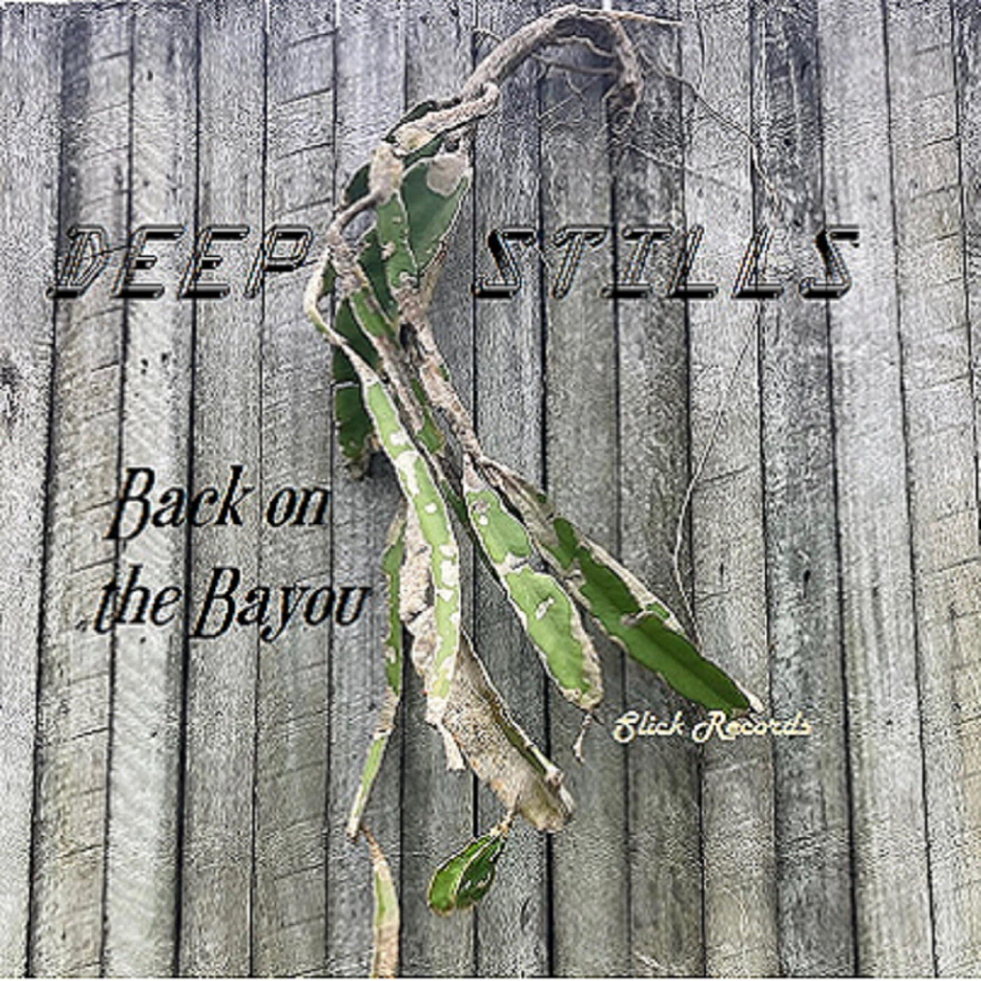 Релиз Back on the Bayou