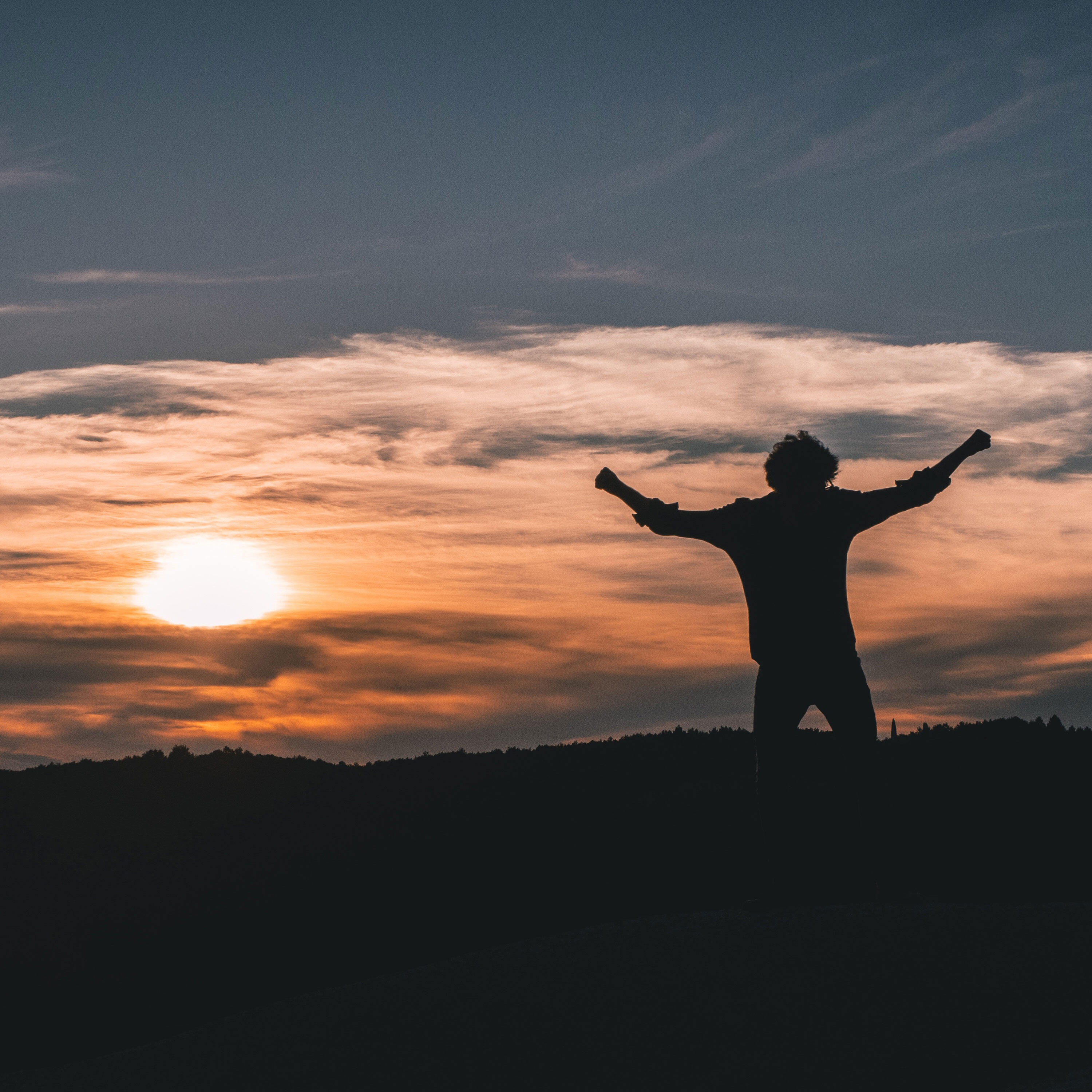 Jure Lesar in Krila ptice