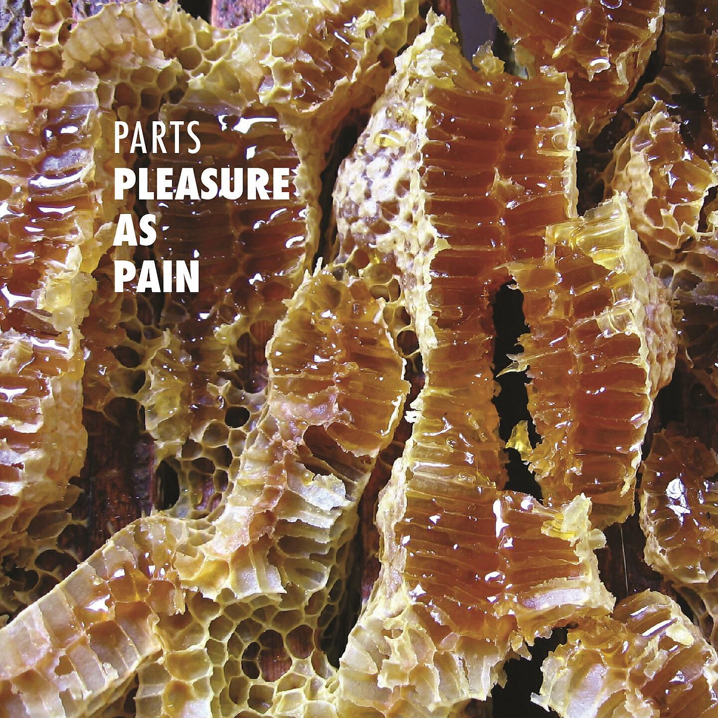 Релиз Pleasure as Pain