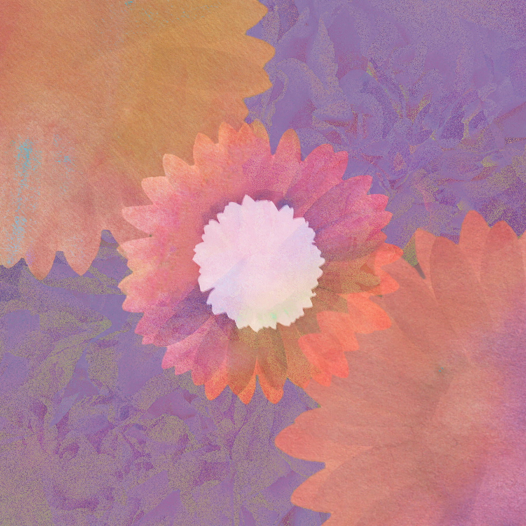 Релиз The Eternal Flowers