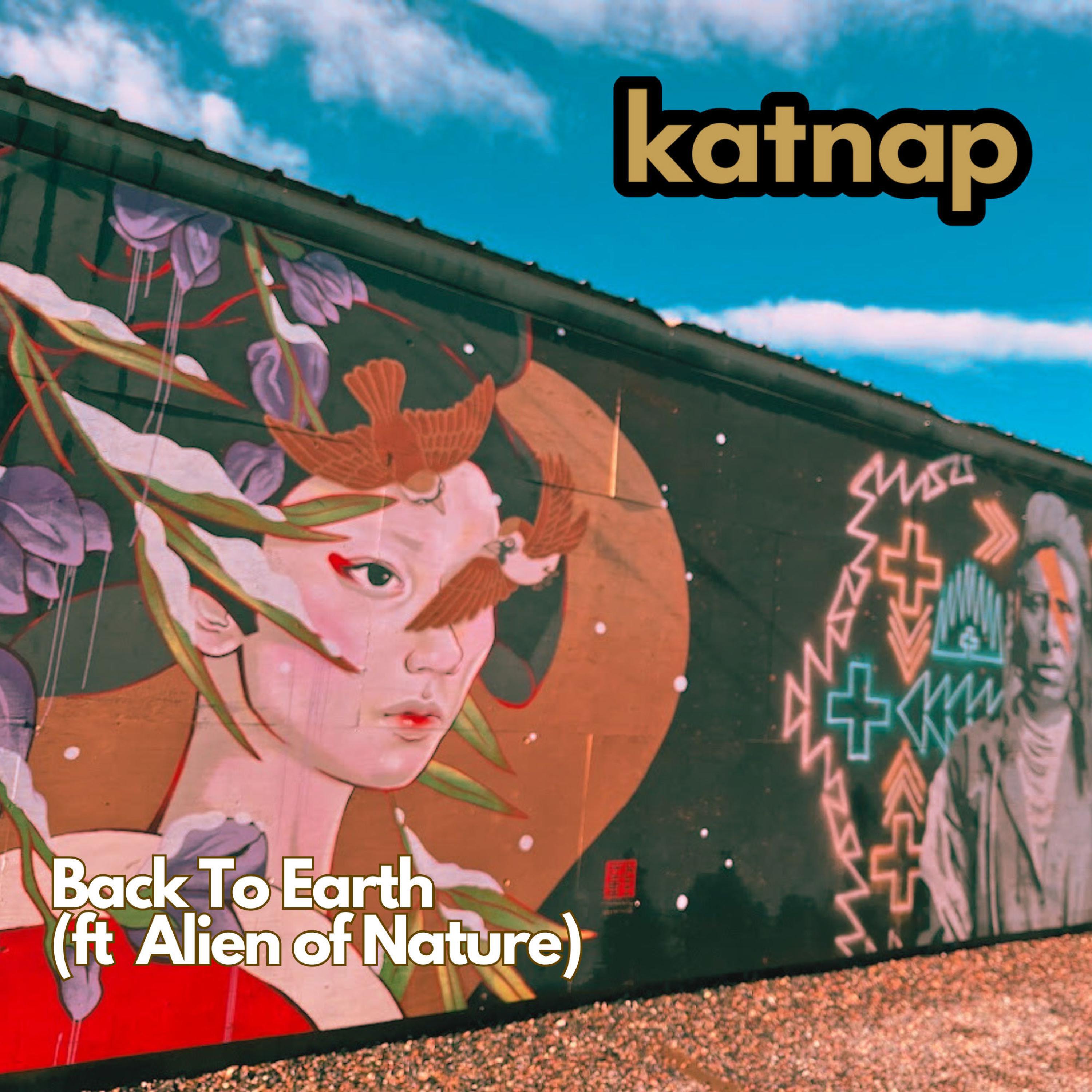 Релиз Back To Earth