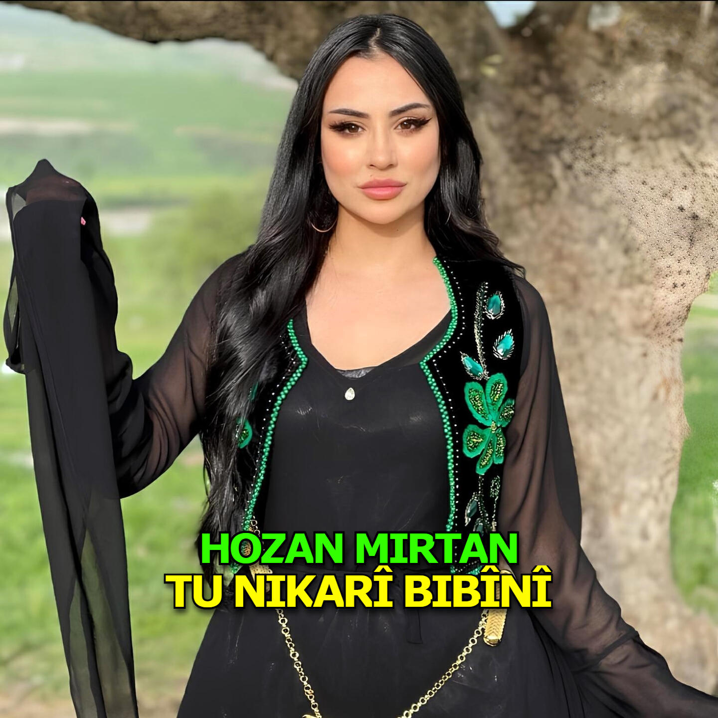Релиз Tu Nikarî Bibînî