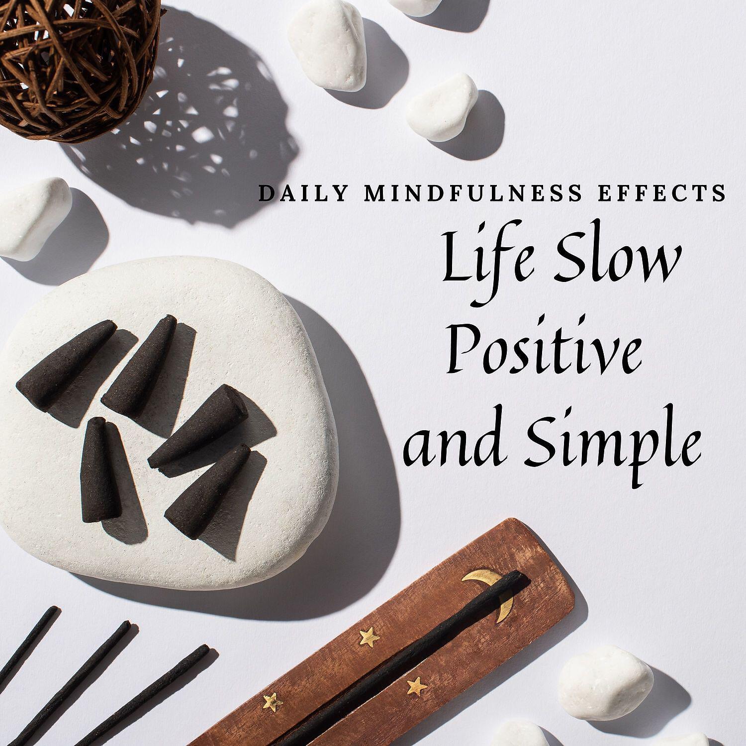 Релиз Daily Mindfulness Effects: Life Slow, Positive and Simple