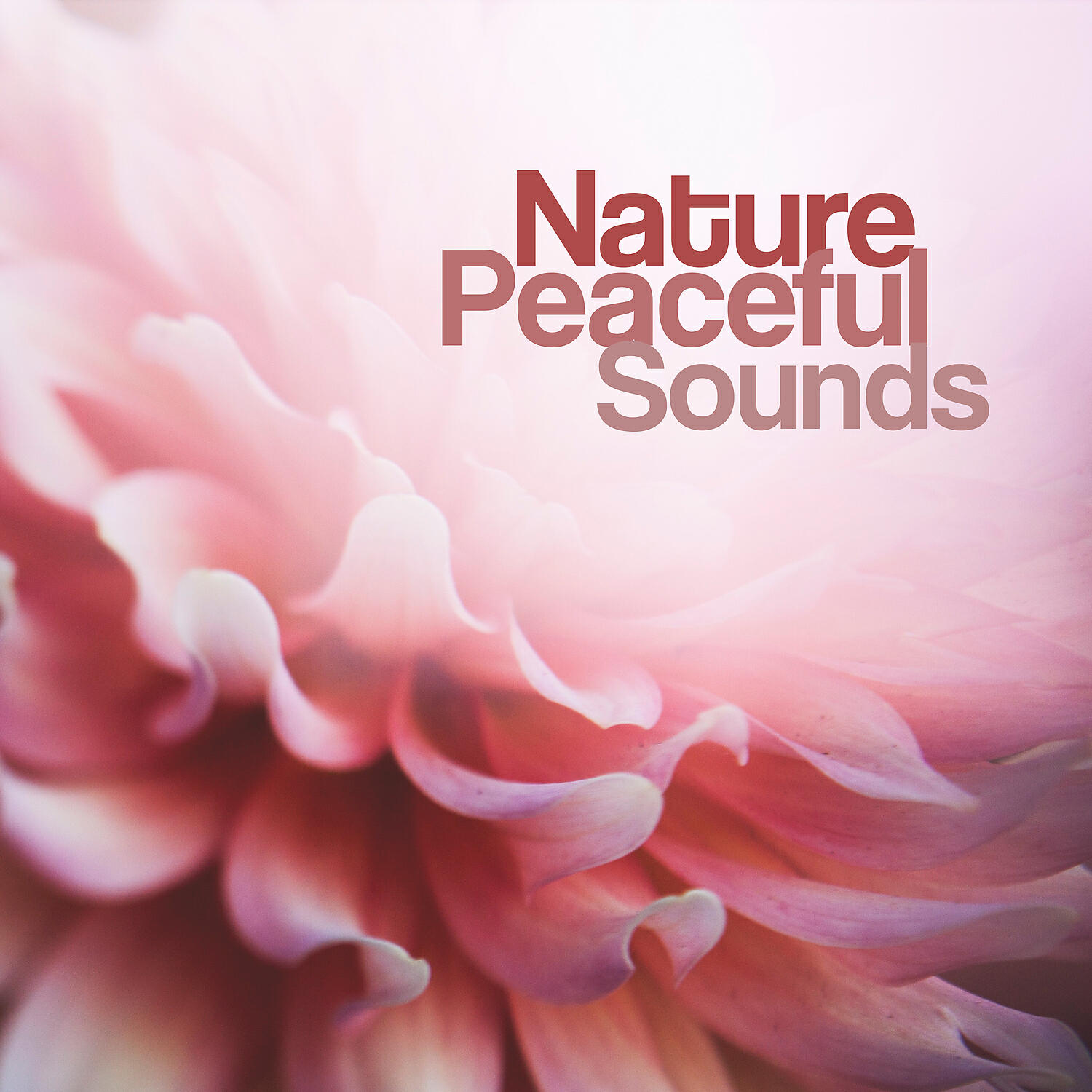 Релиз Nature Peaceful Sounds – Therapy Music for Mind, Soul, Sounds for Yoga, Relaxation, Spa