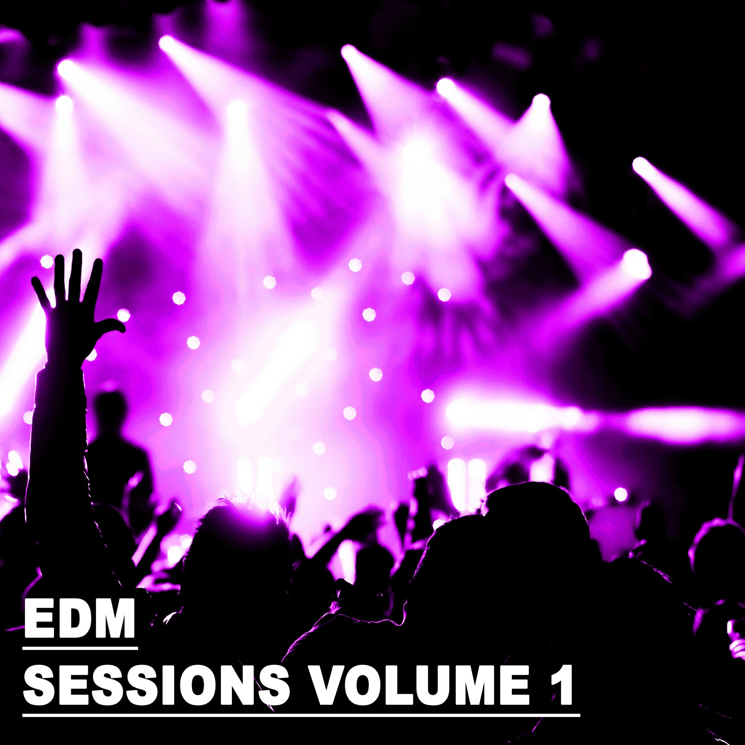 Релиз EDM Sessions Vol. 1