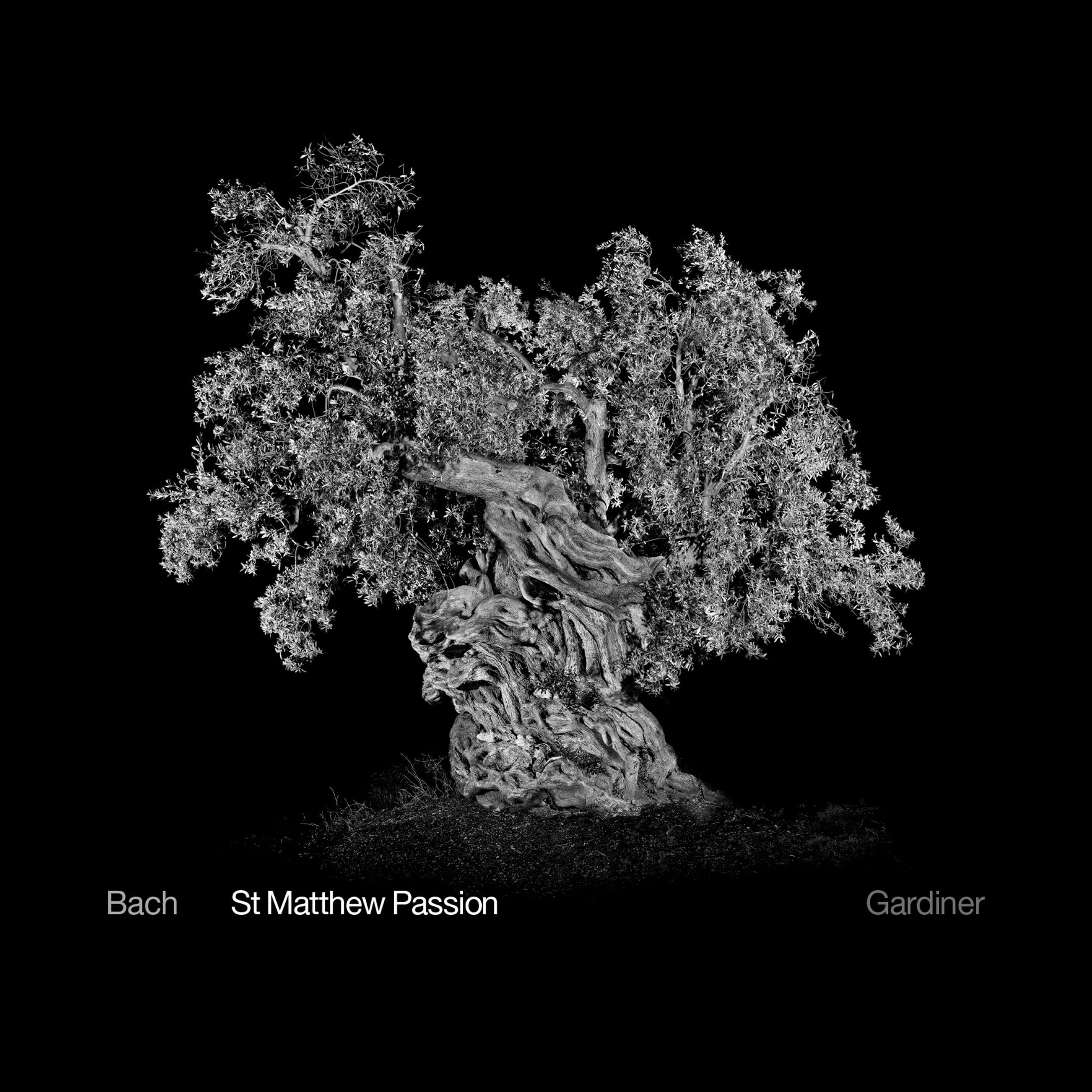Релиз J.S. Bach: St. Matthew Passion, BWV 244
