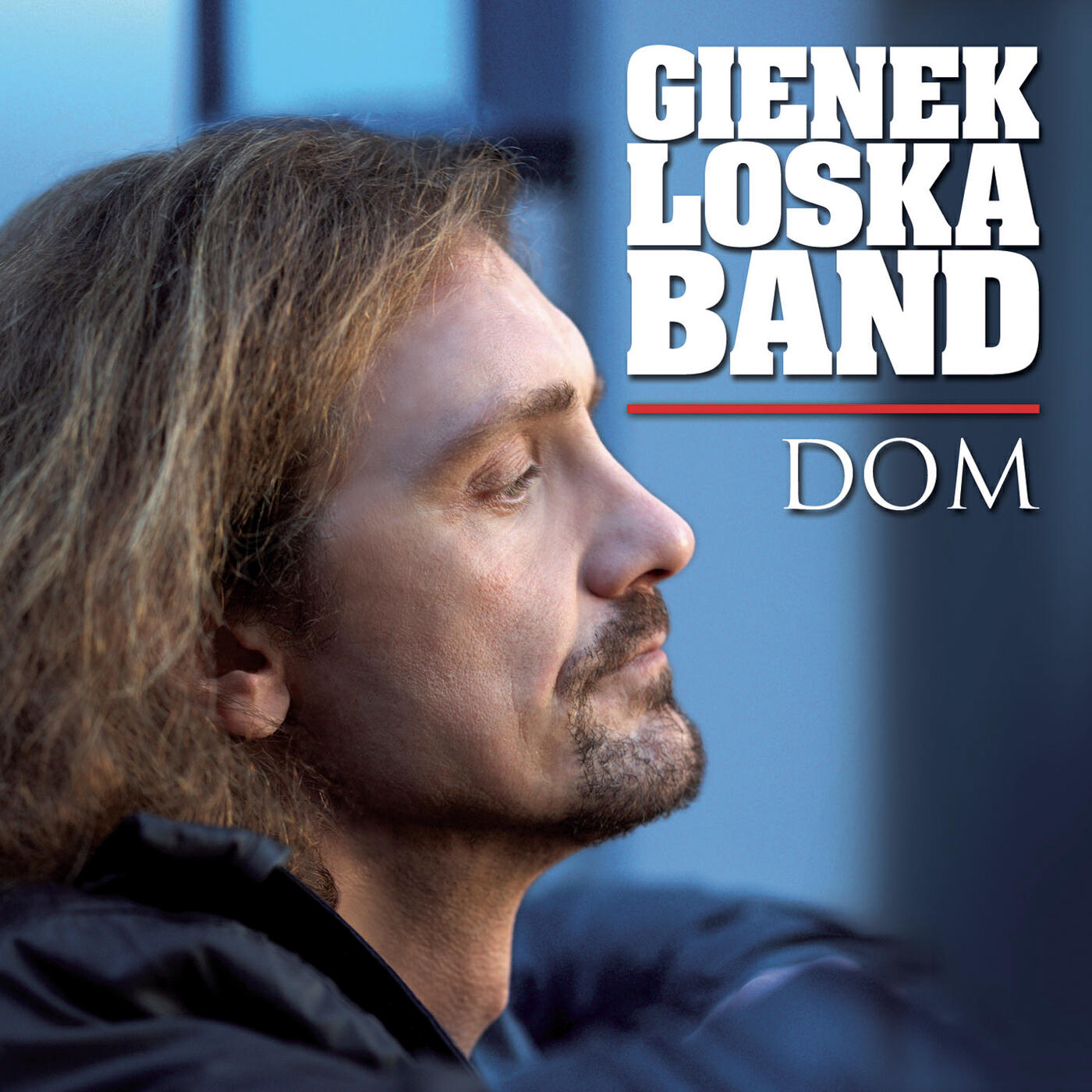 Релиз Dom