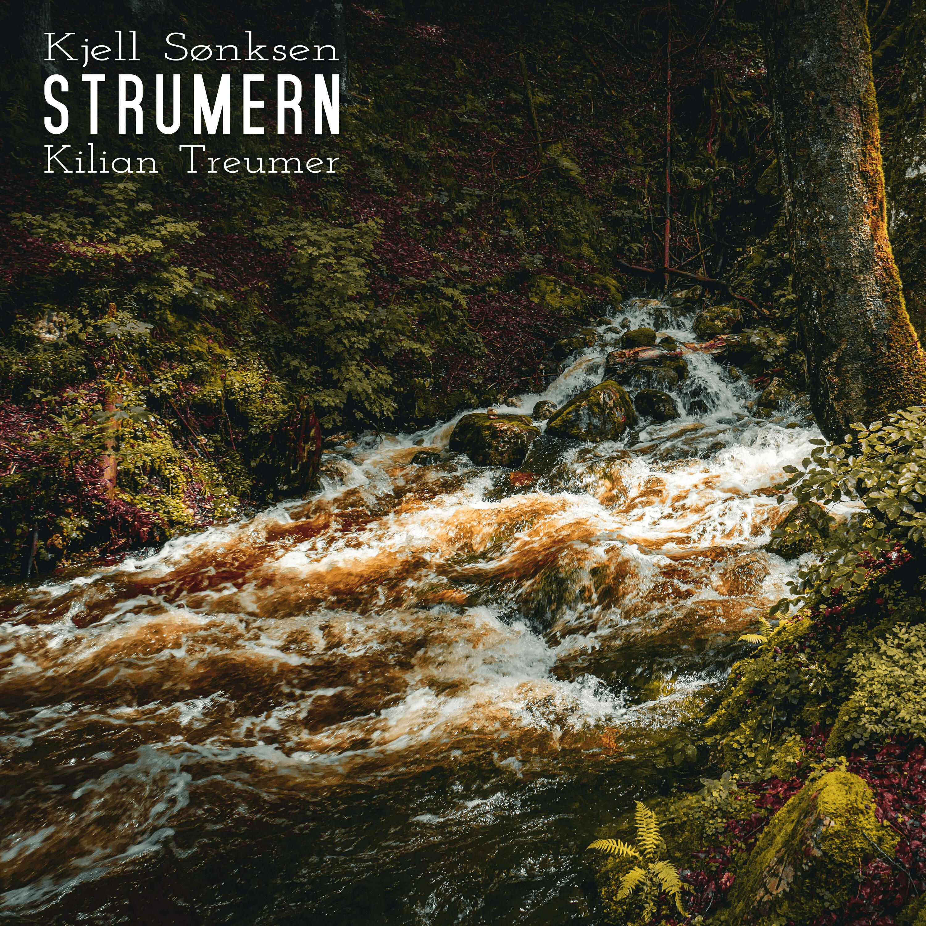 Релиз Strumern