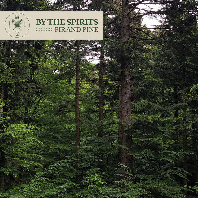 Релиз Fir and Pine