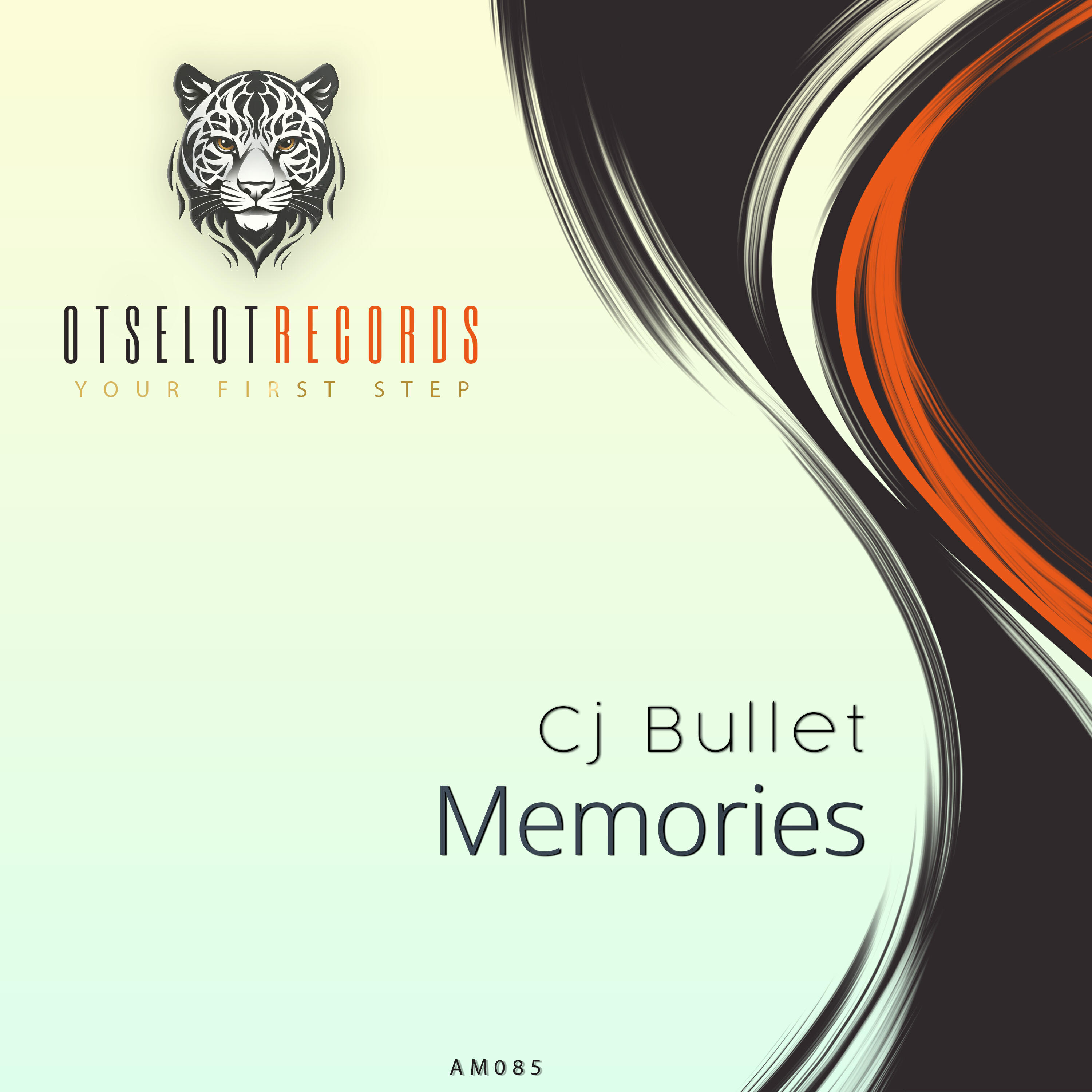 Релиз Memories