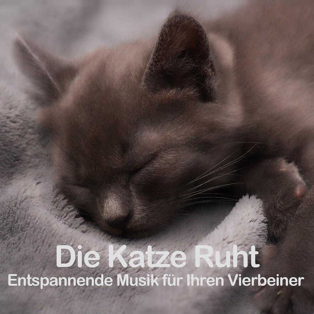 Релиз Die Katze Ruht (Entspannende Musik für Ihren Vierbeiner)
