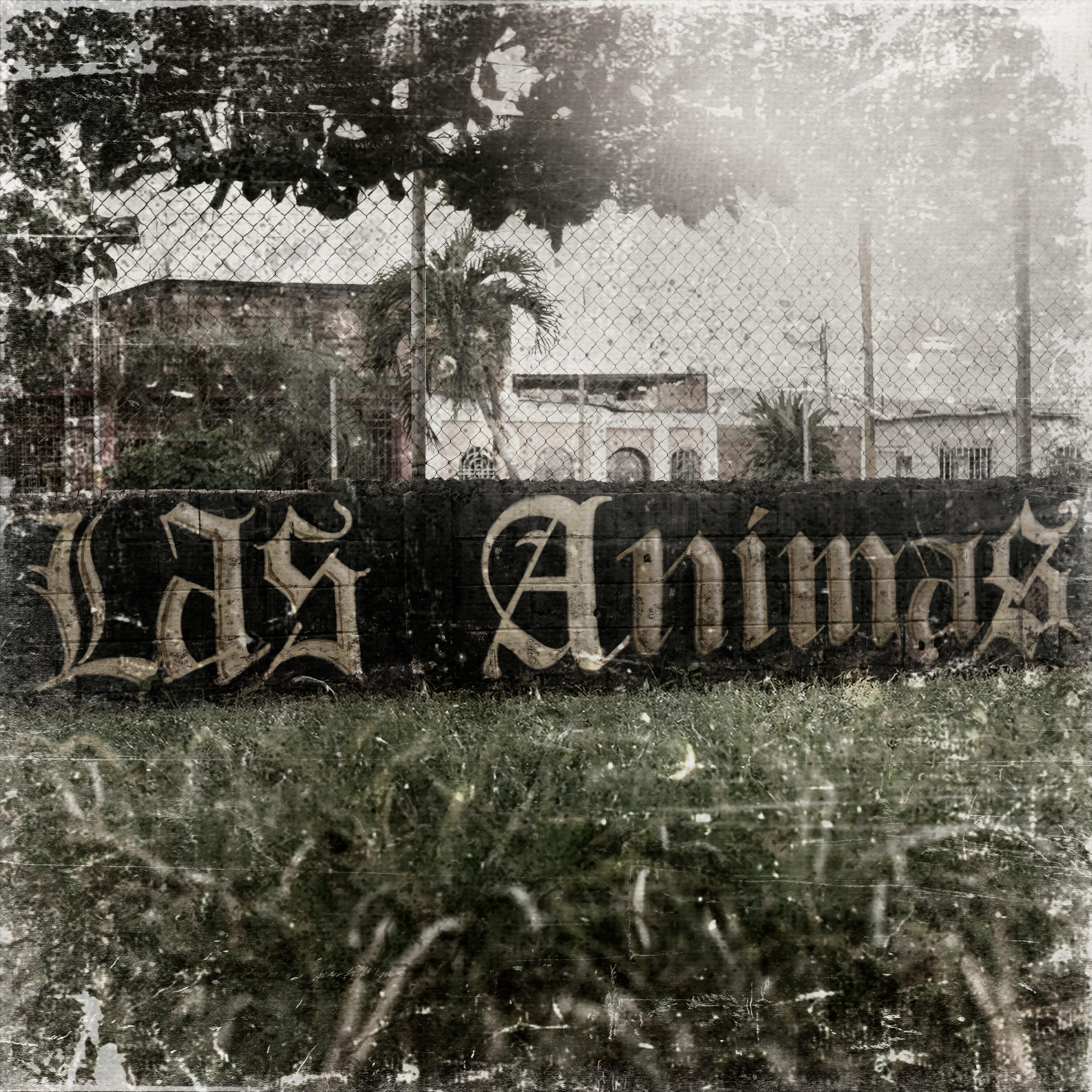 Релиз Las Ánimas