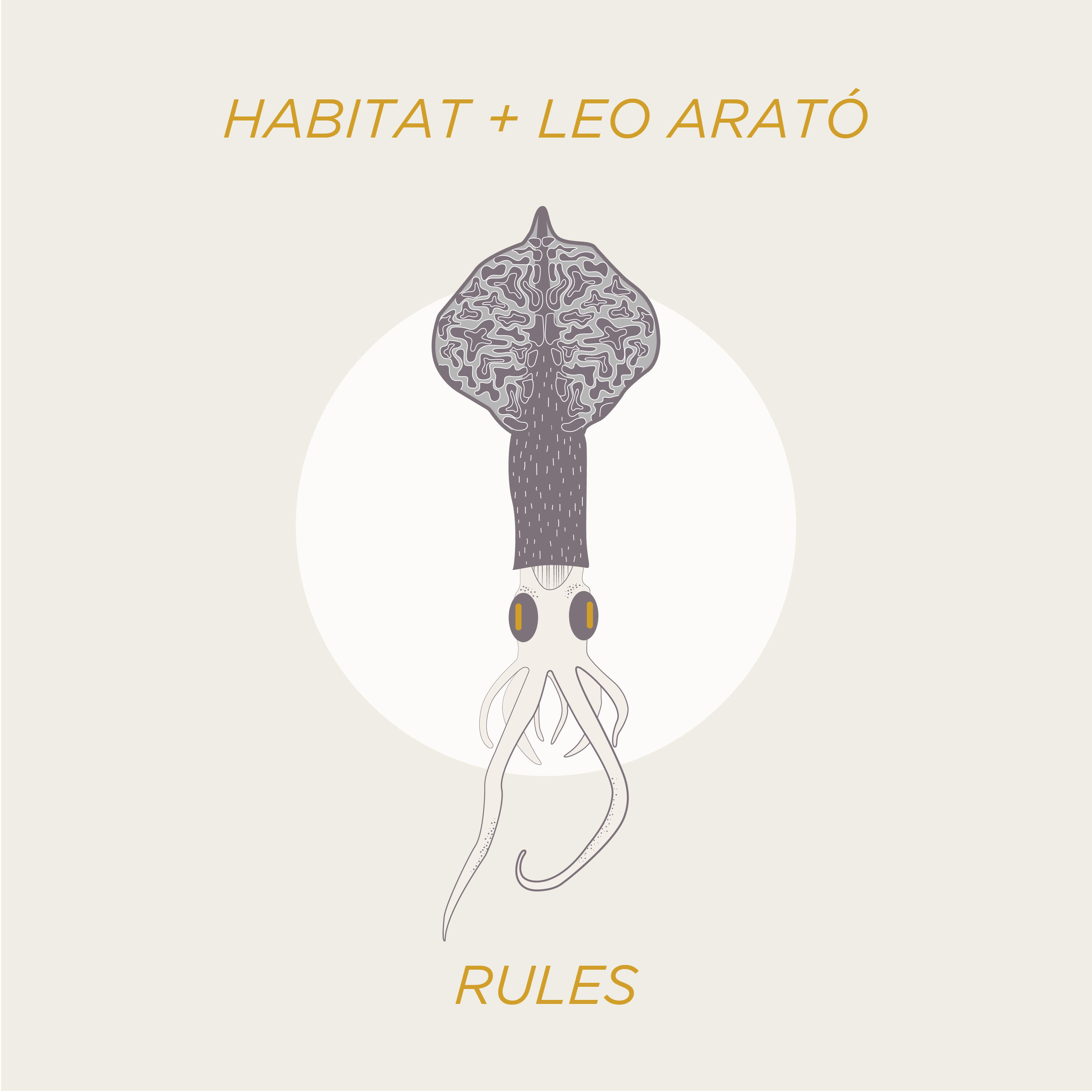 Релиз Rules